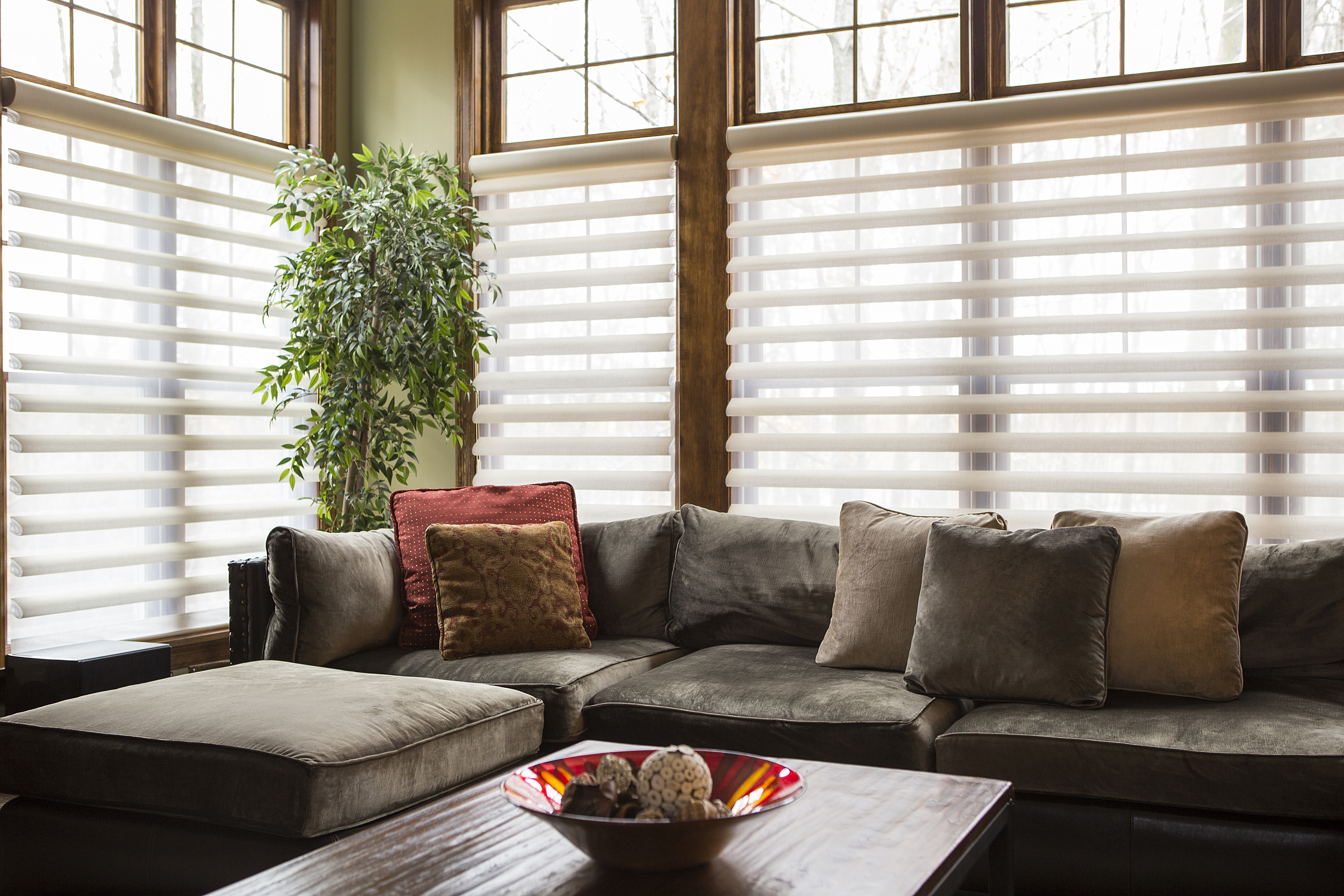 Top-rated blind installation pros.