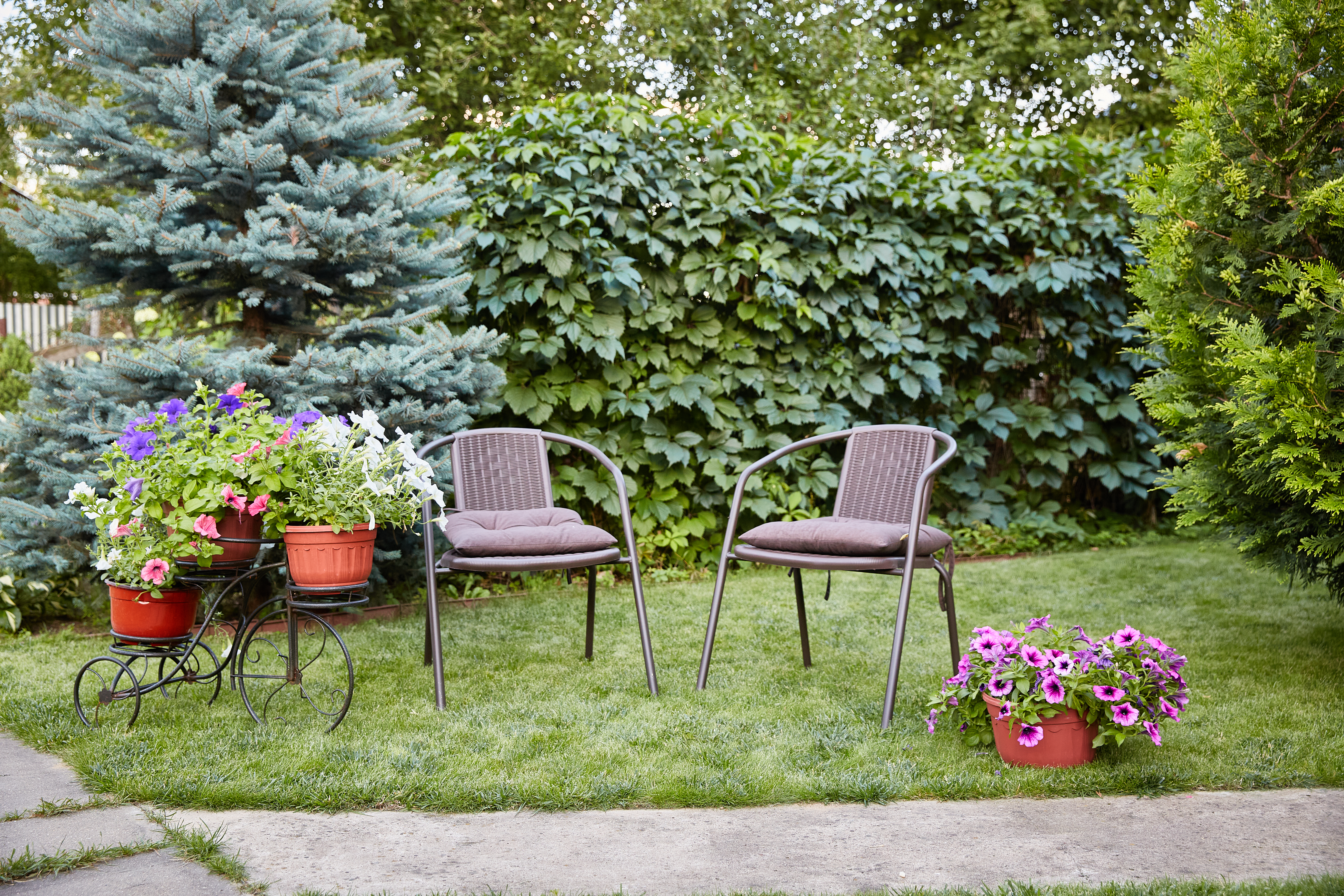 Outdoor chairs and yard decorations sitting on the lawn 