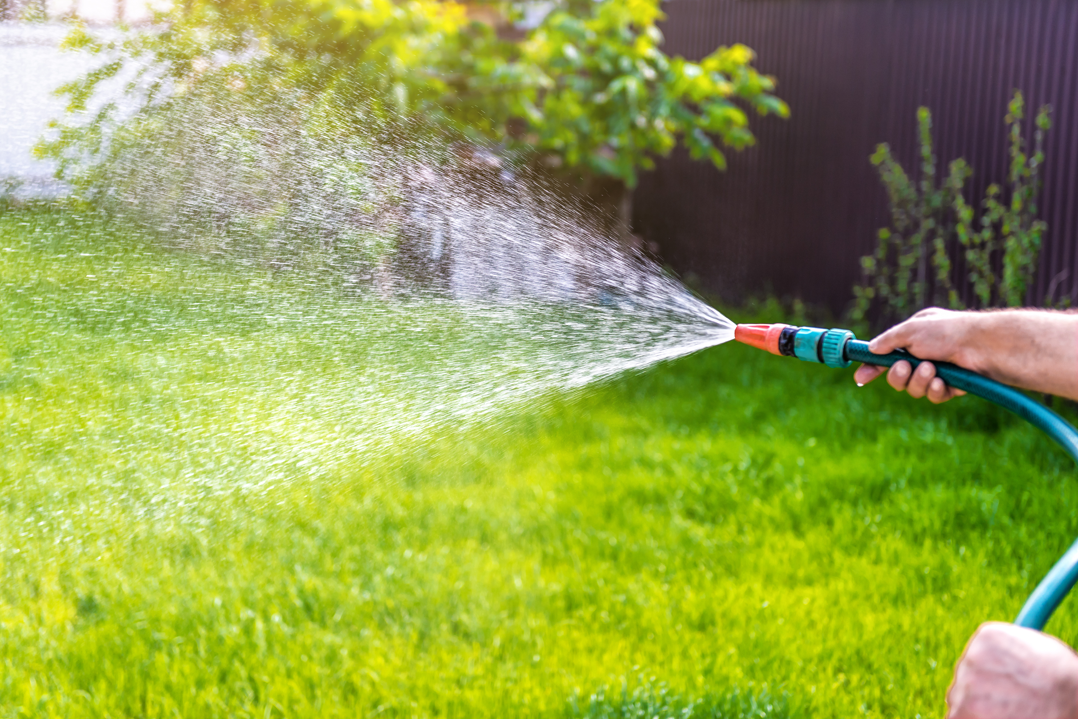 Gardener watering grass