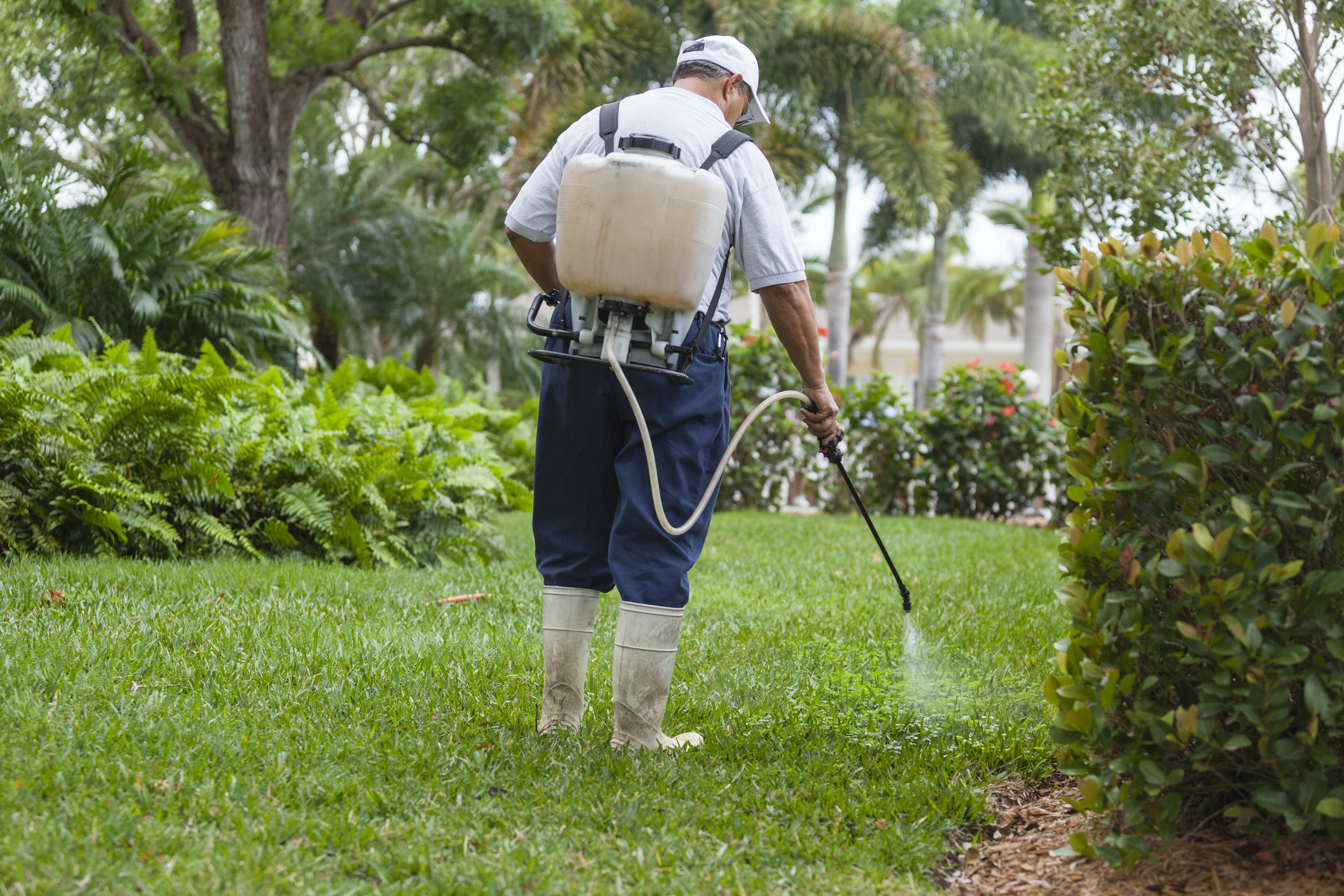  Pest control technician with portable spray