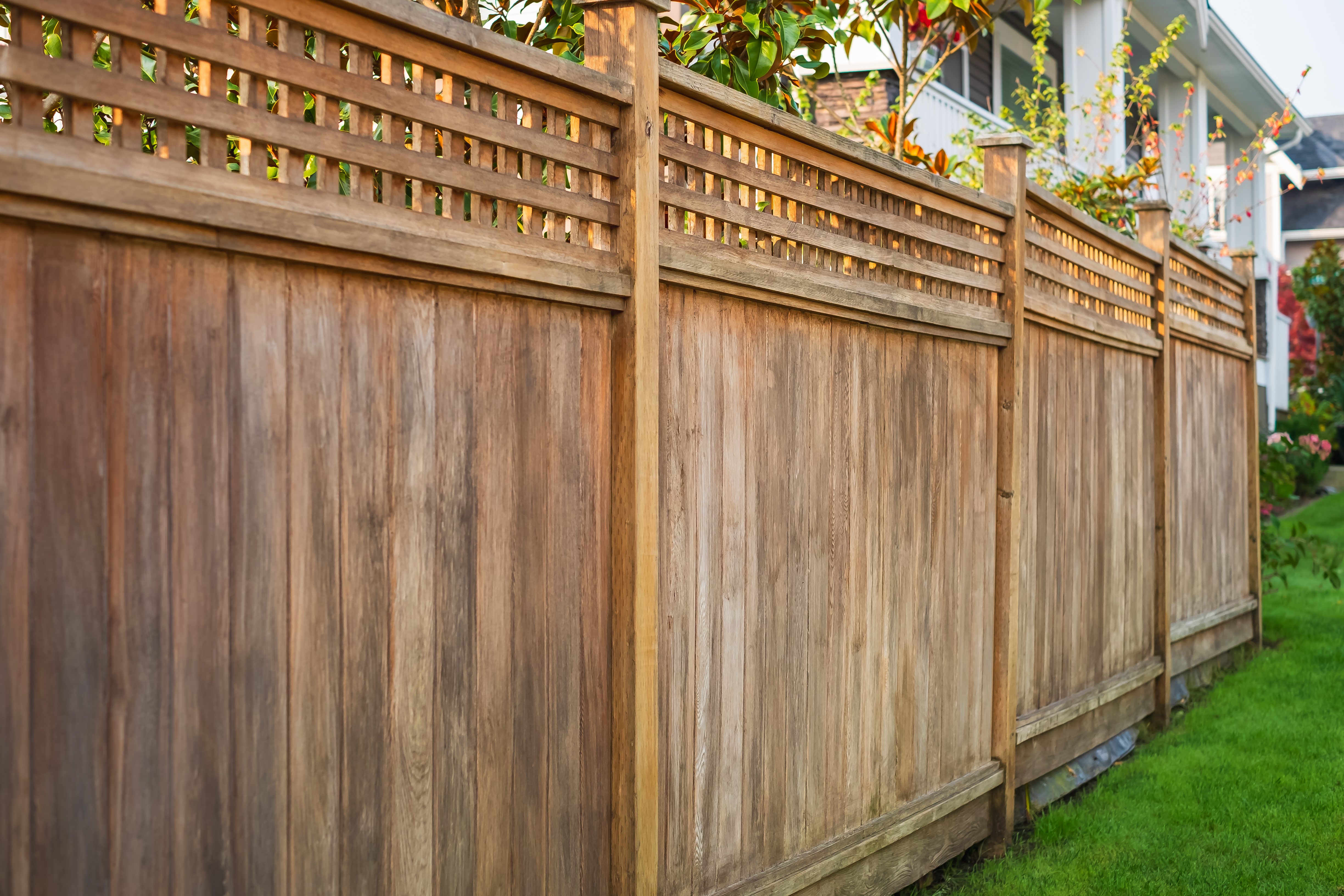A domestic wooden fence
