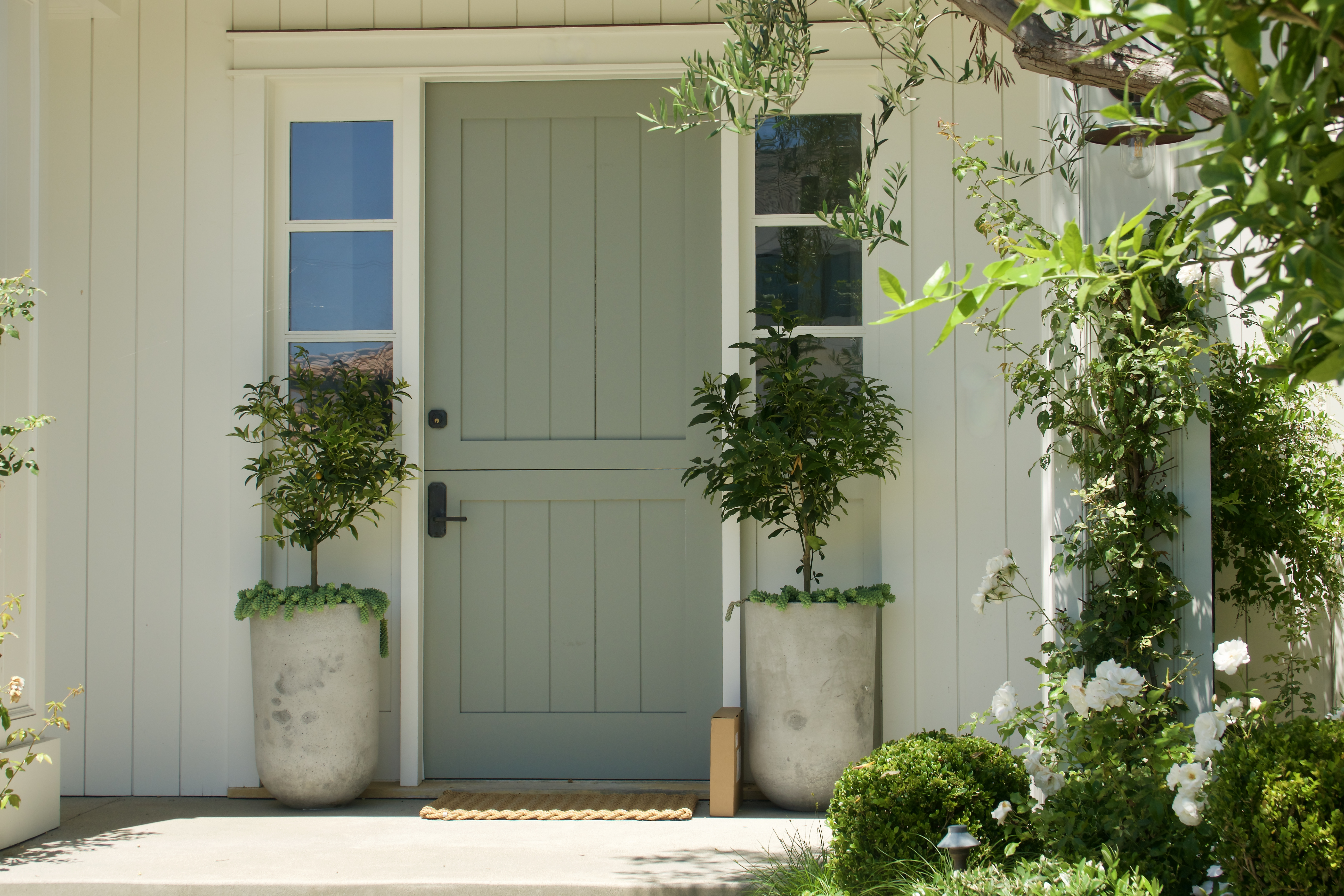 Green Dutch door and potted plants