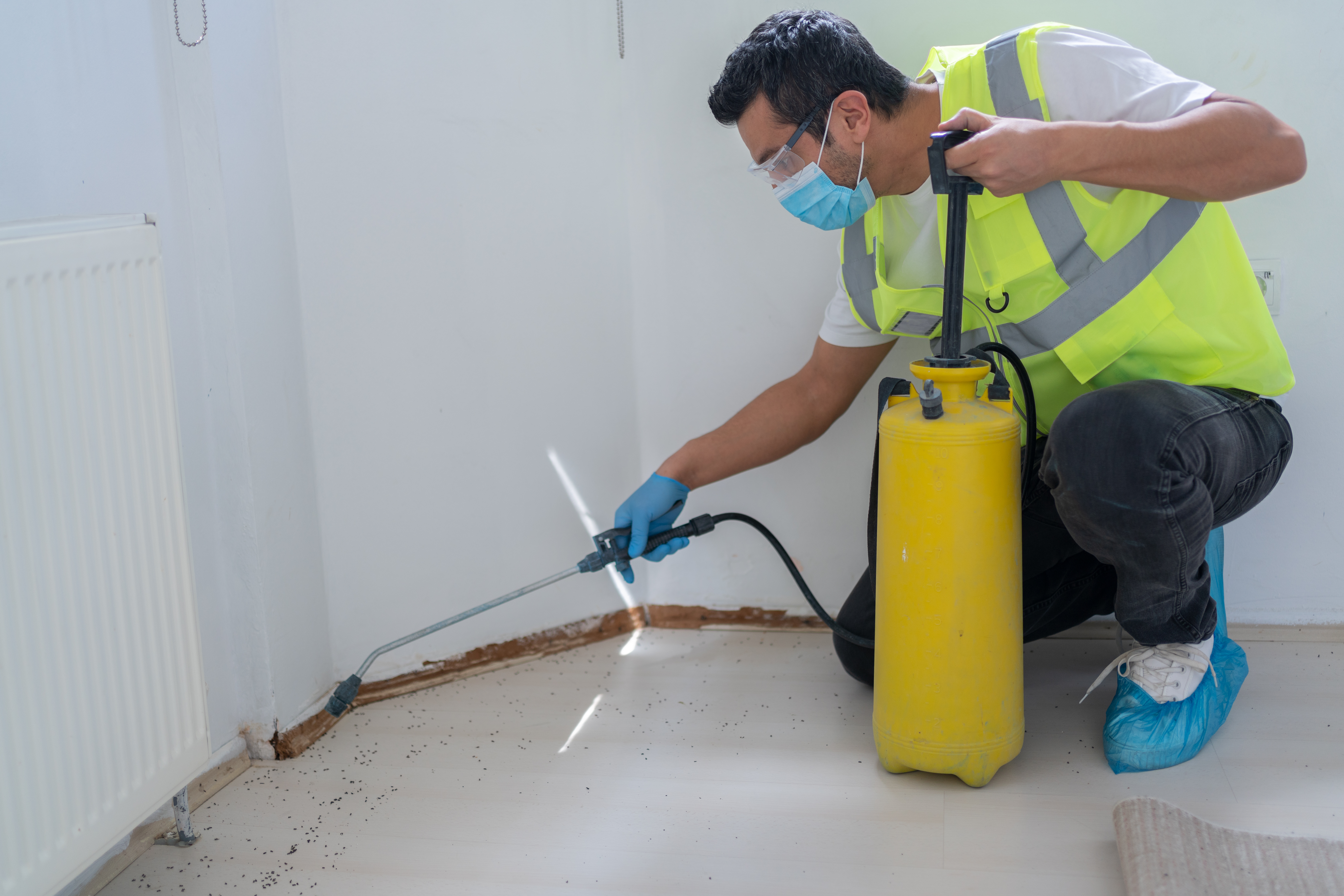 Pest control professional spraying pesticide along a baseboard