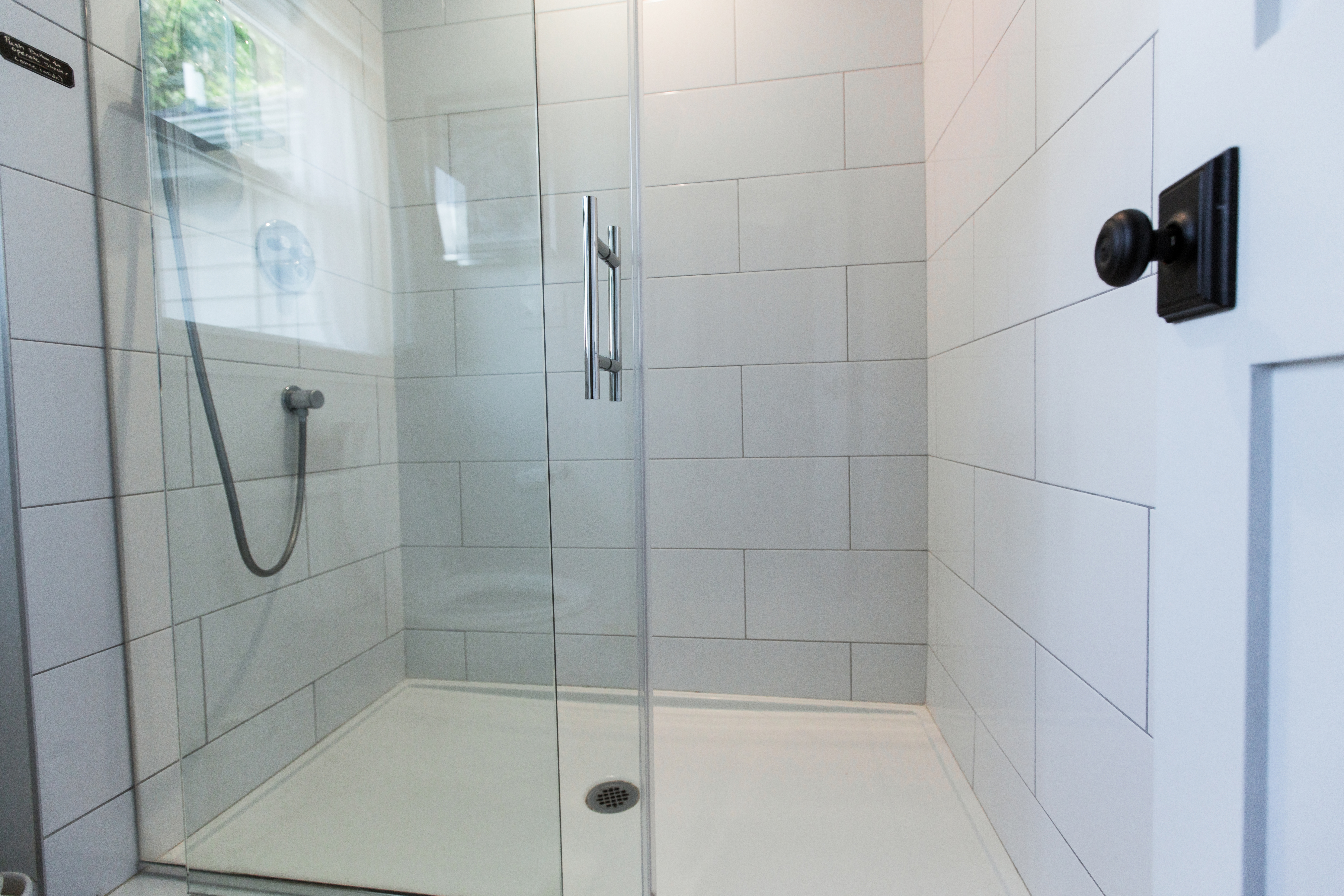Pivot glass bathroom door.
