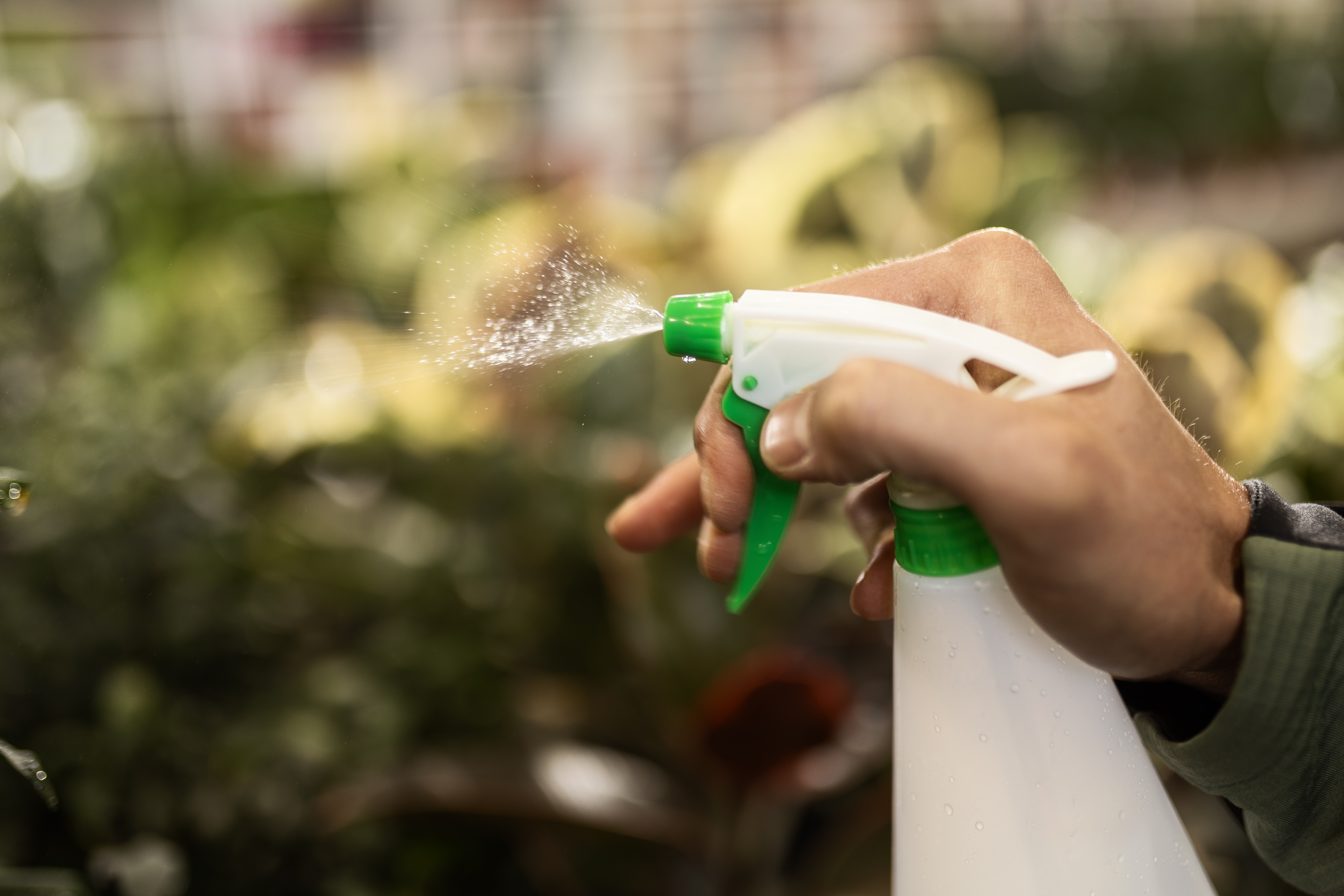 A person spraying water on plants 
