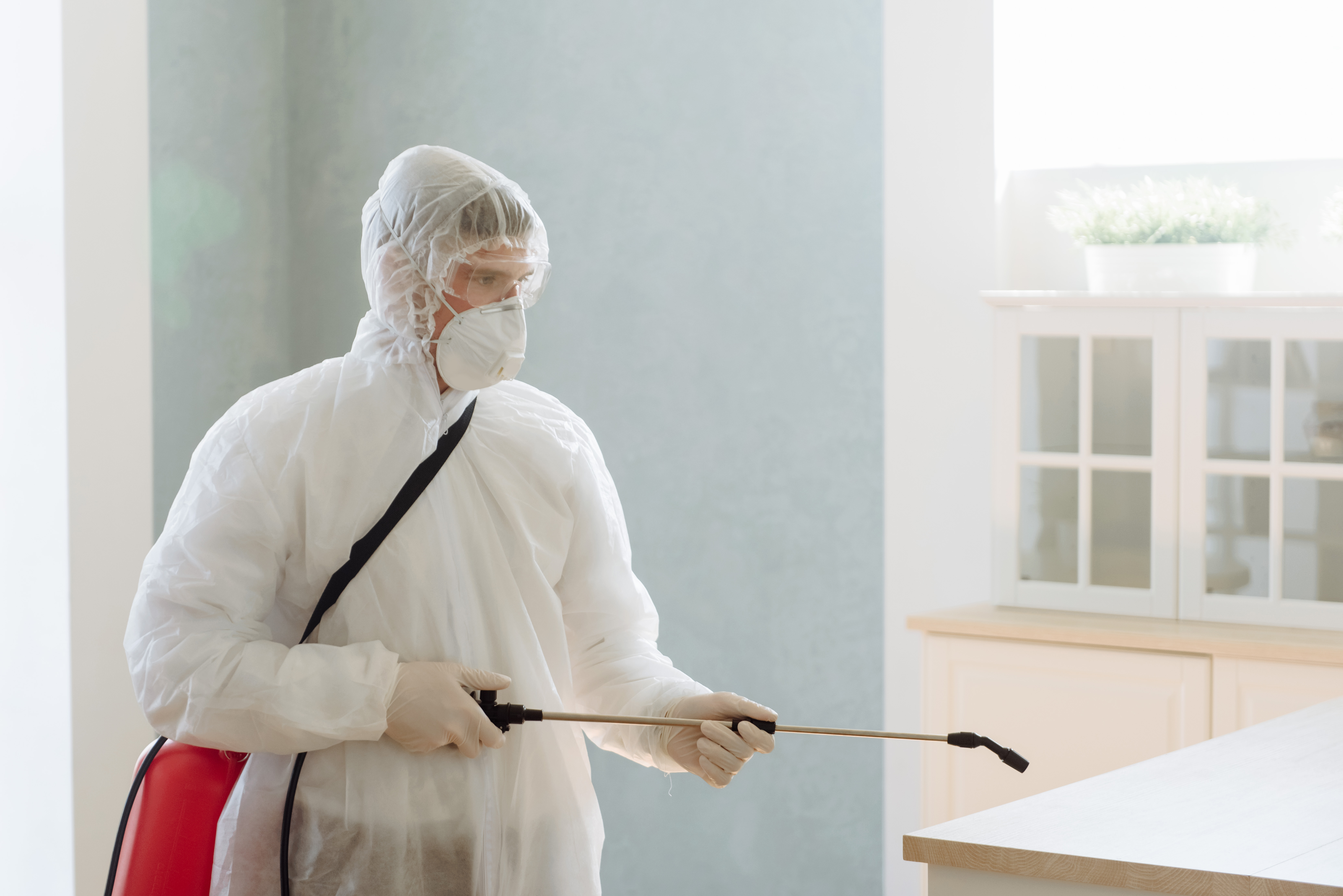 A professional performing rat control