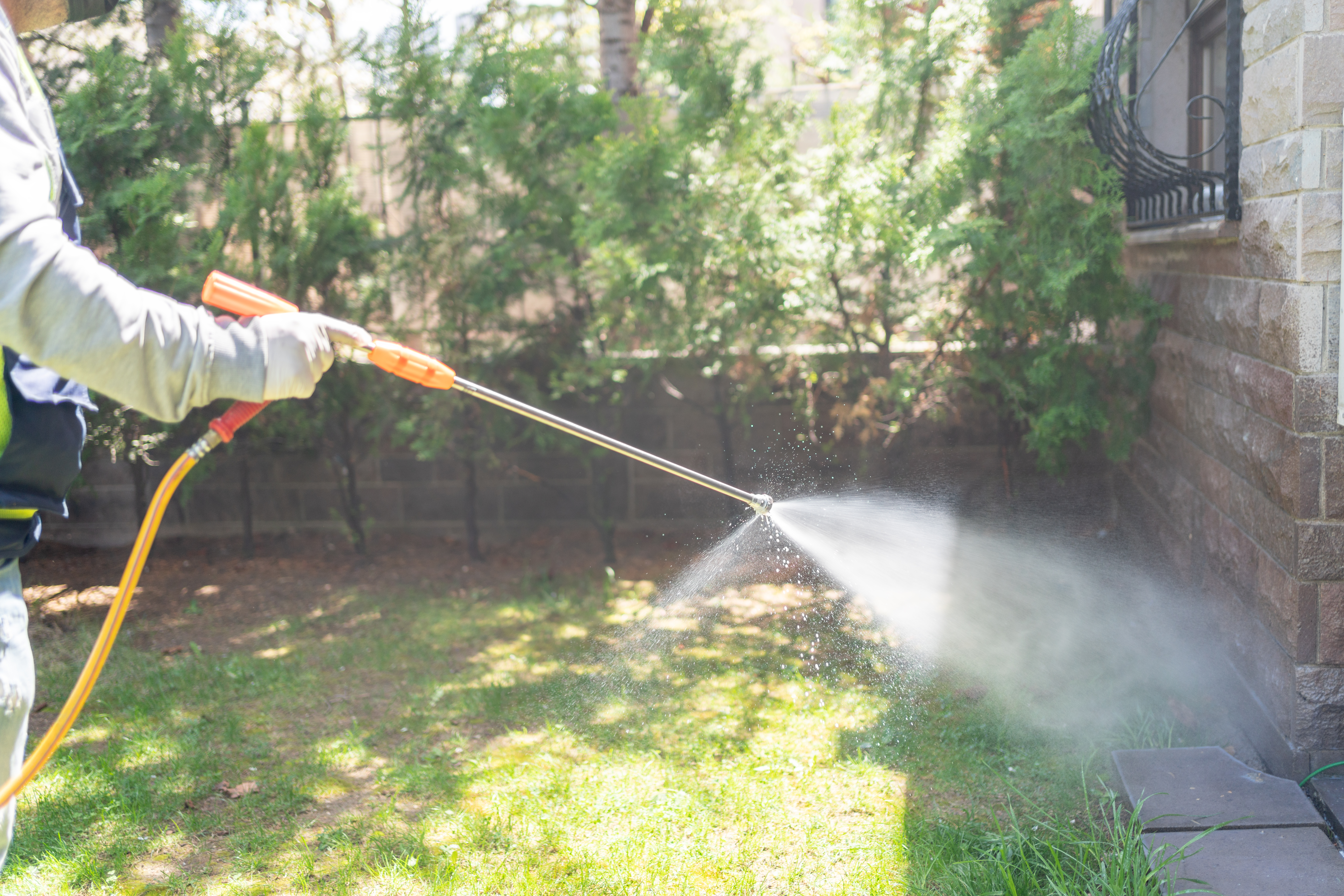 An exterminator spraying pesticide in the garden