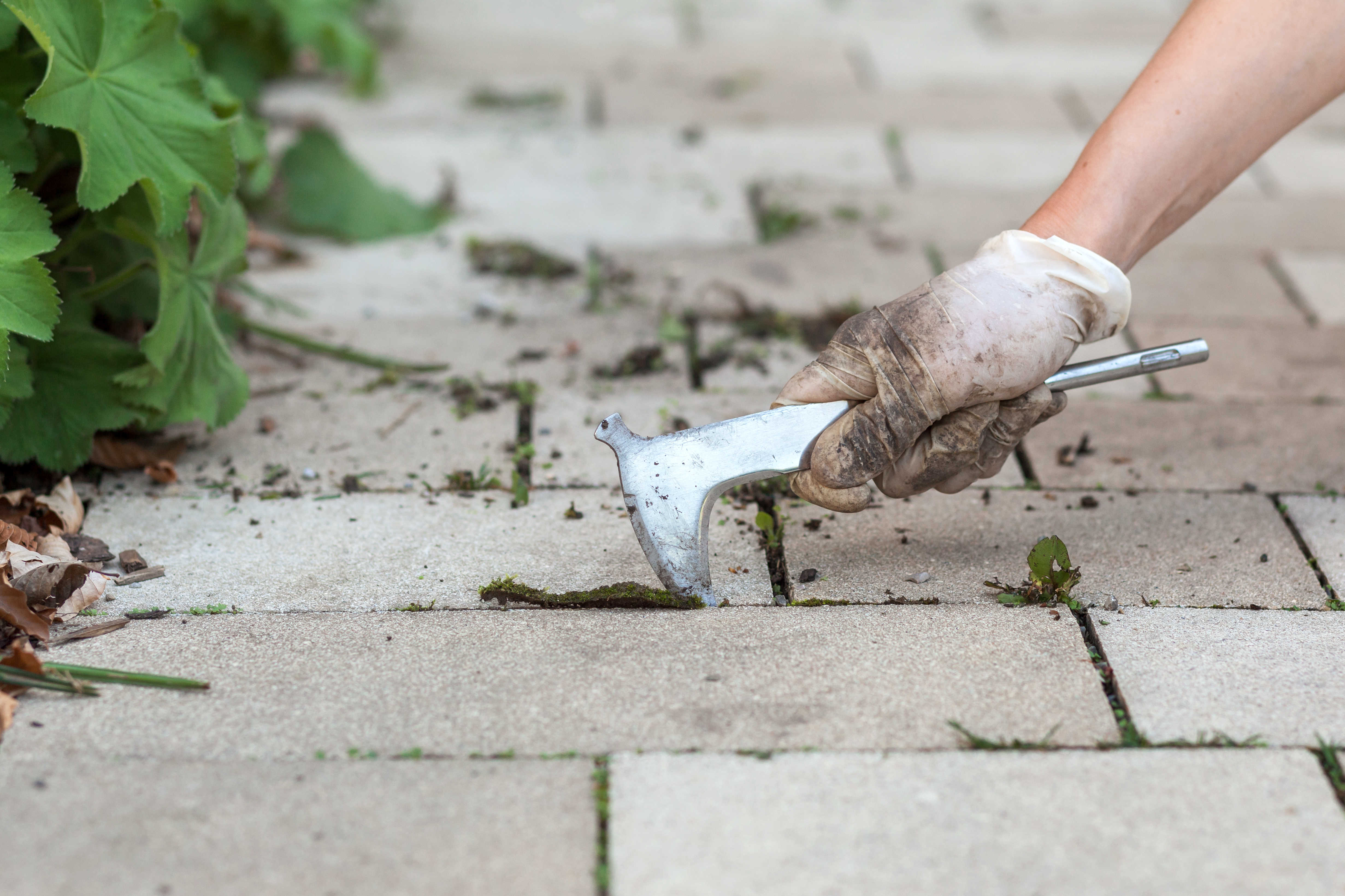 Using tool to clean pavers