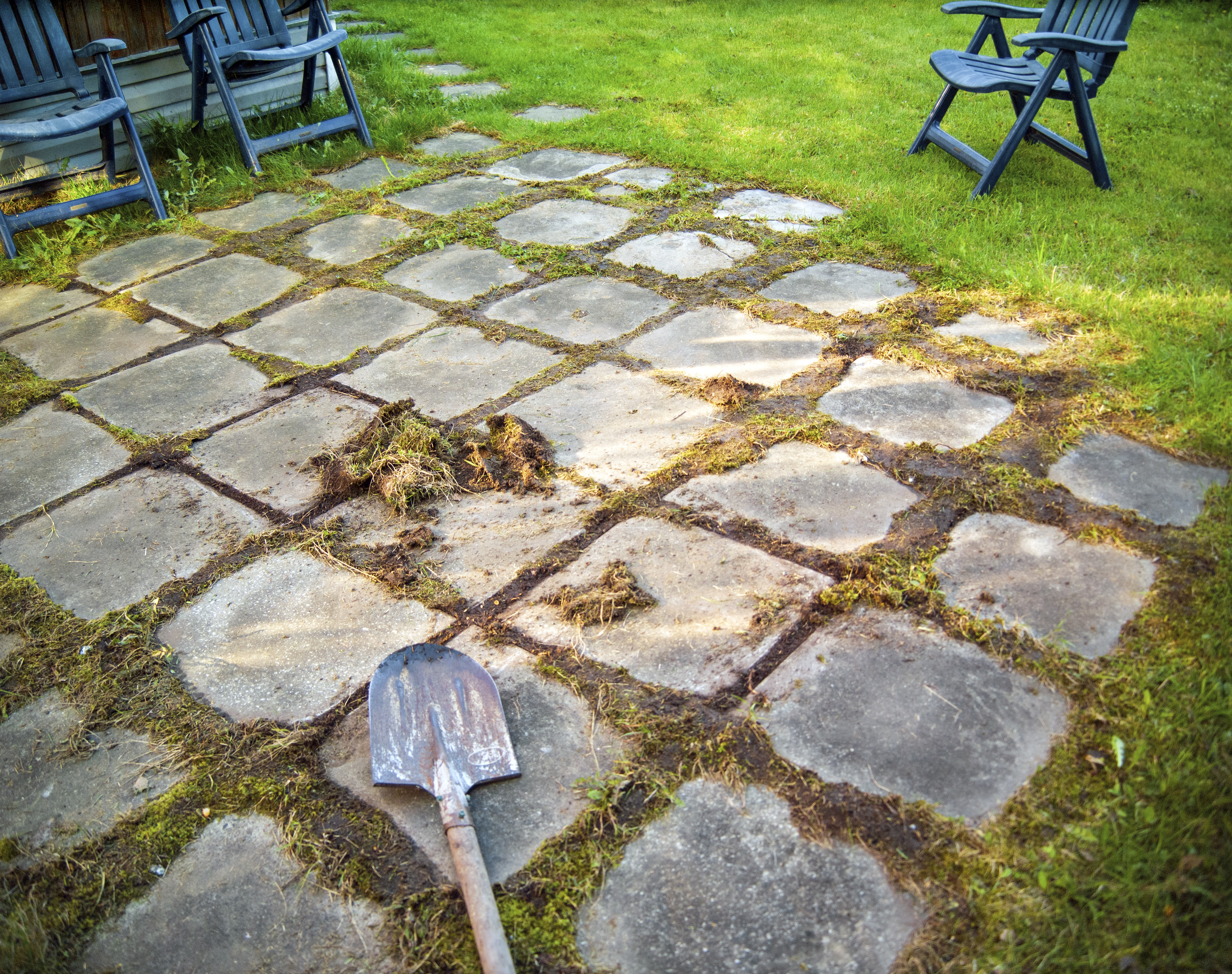 Removing grass between paving tiles