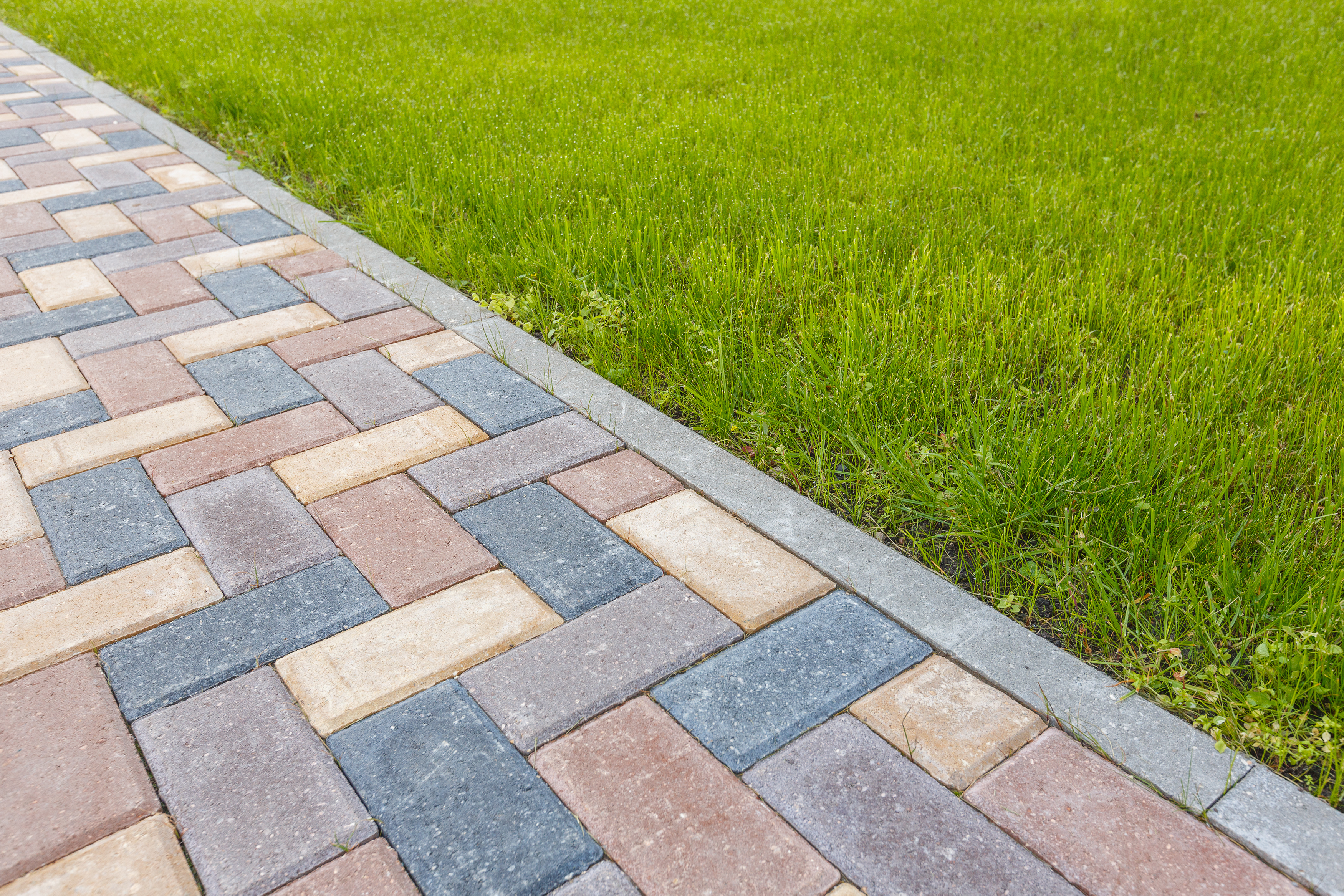 Lawn divided by a concrete curb