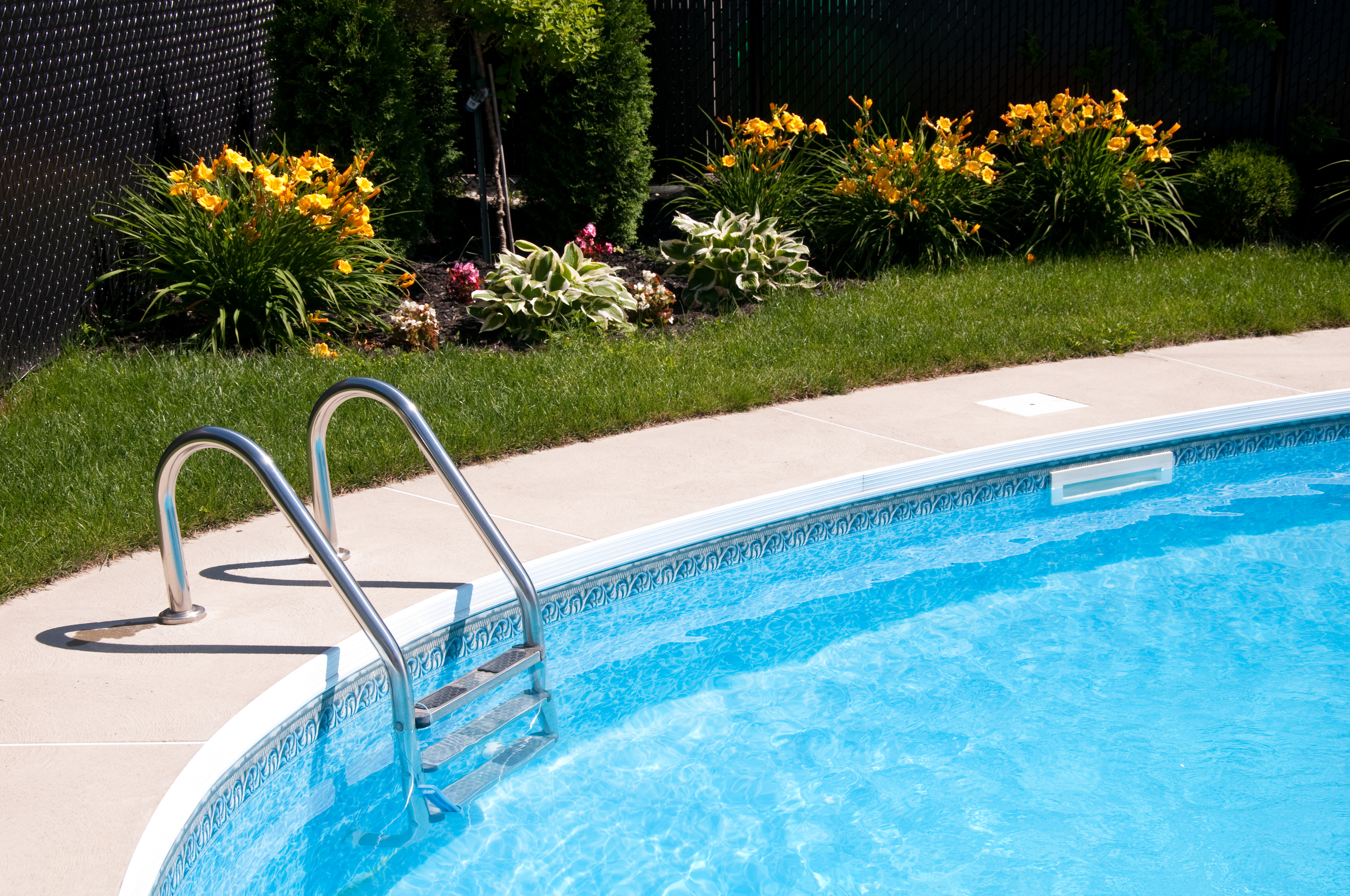 swimming pool in backyard