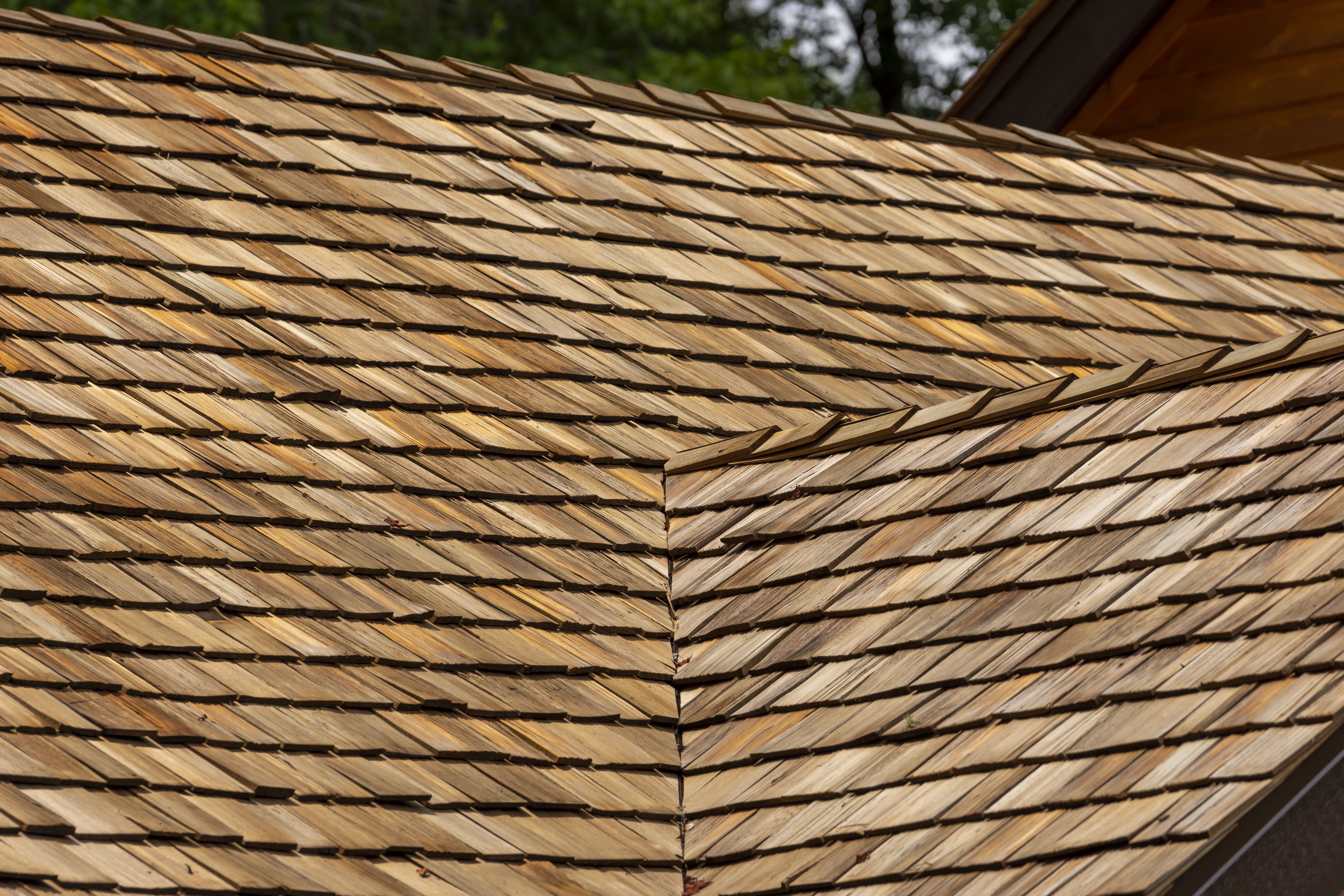 Close-up of a wooden roof