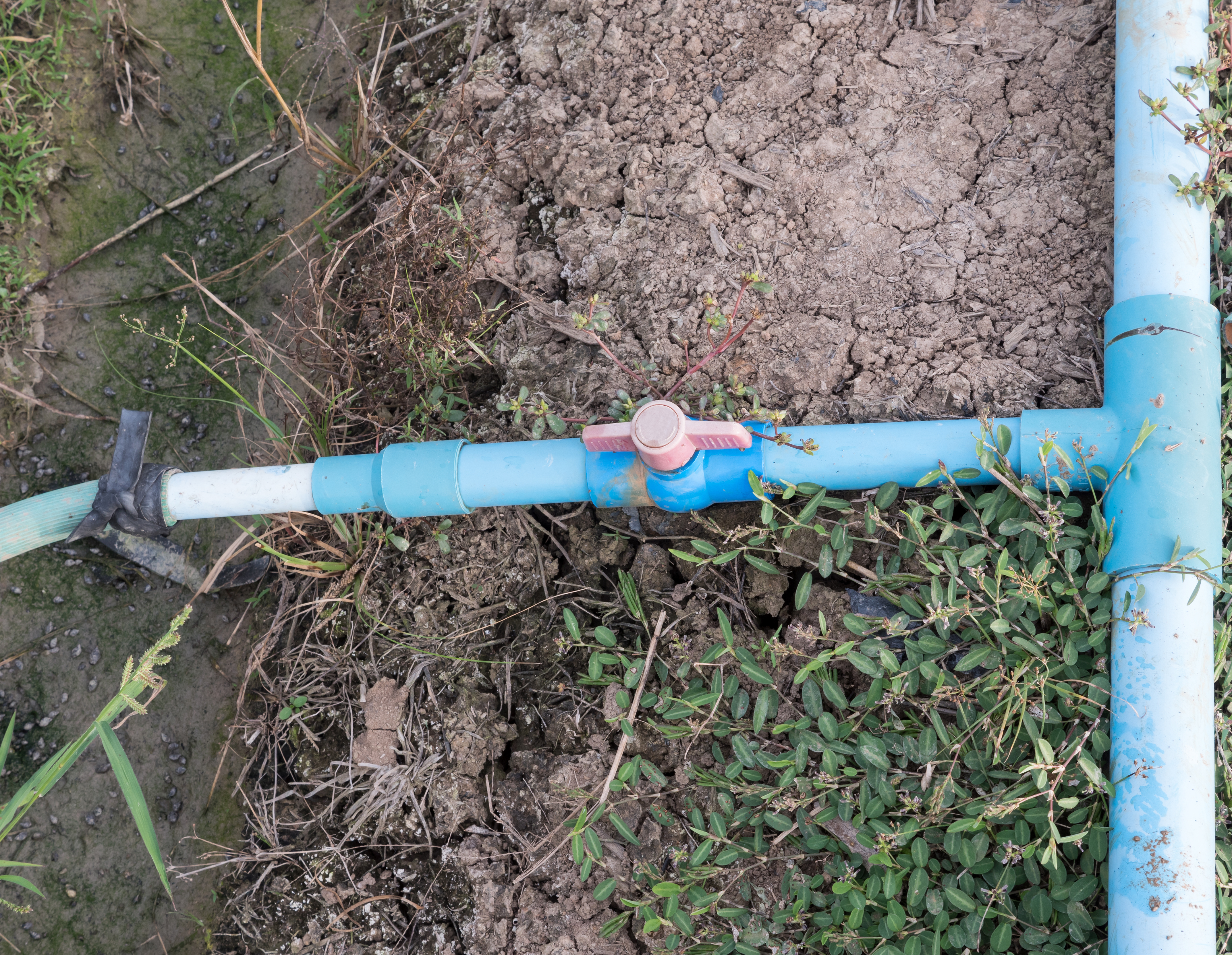 Top view of a main water line 