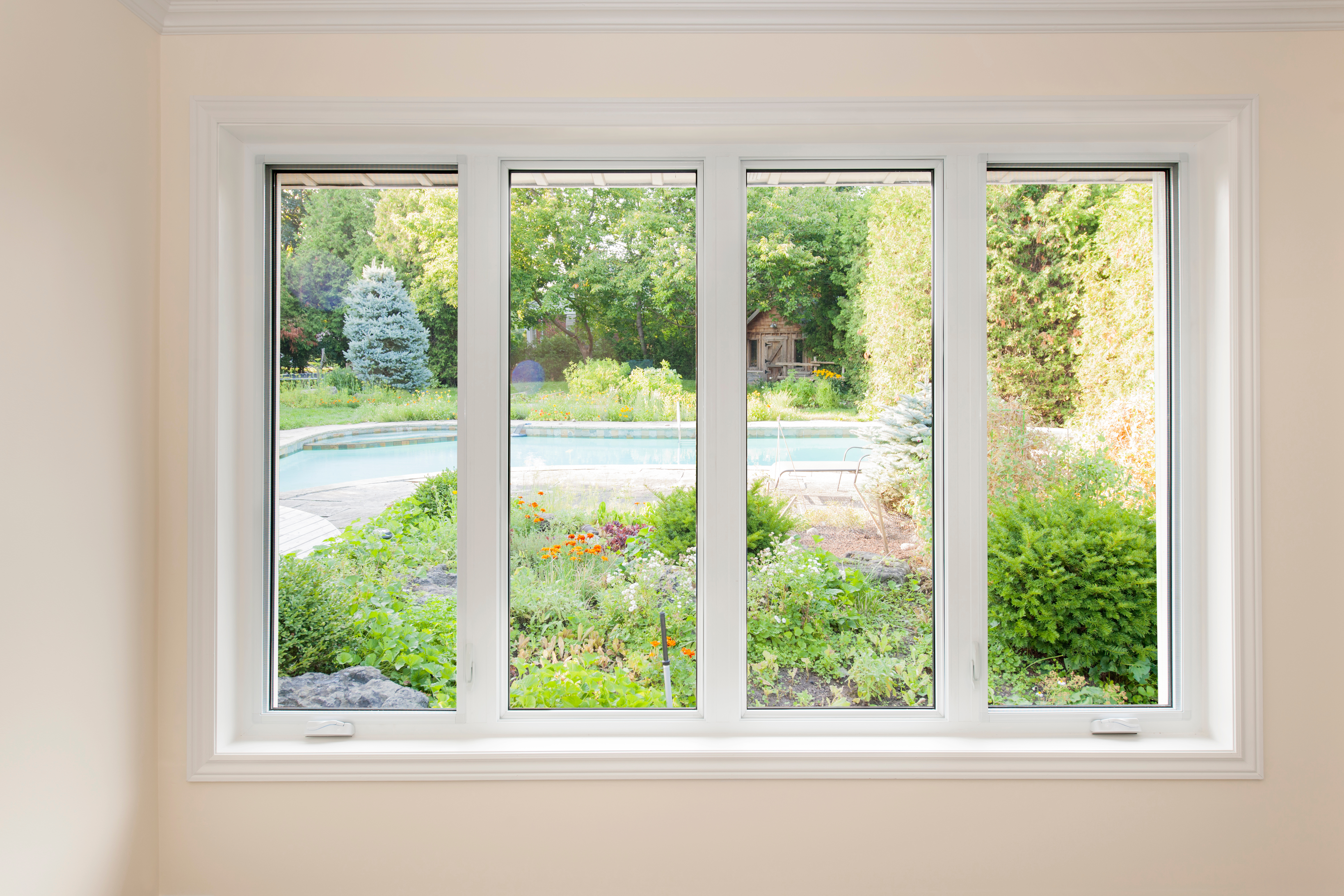 window summer backyard in orlando  