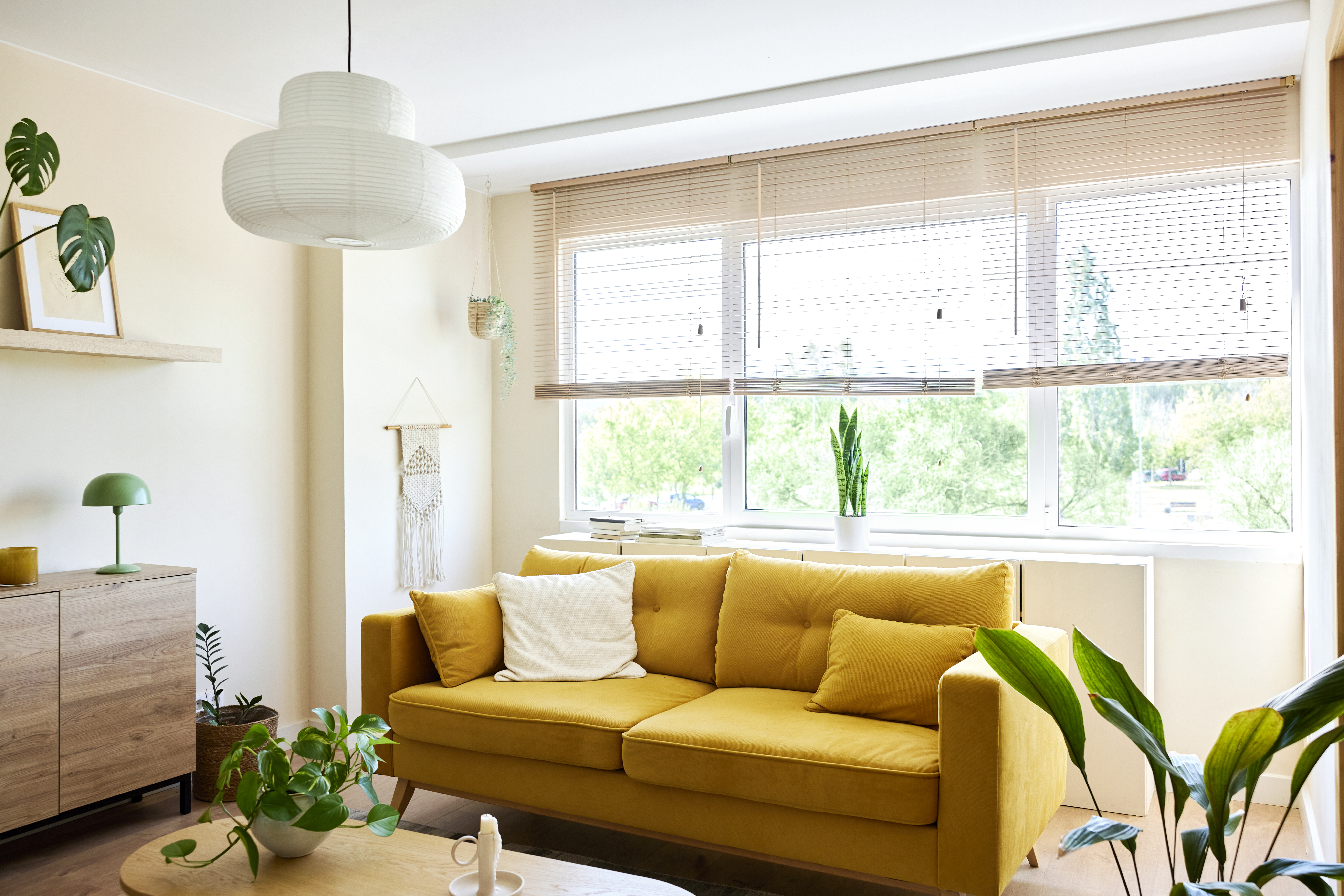 living room with blinds