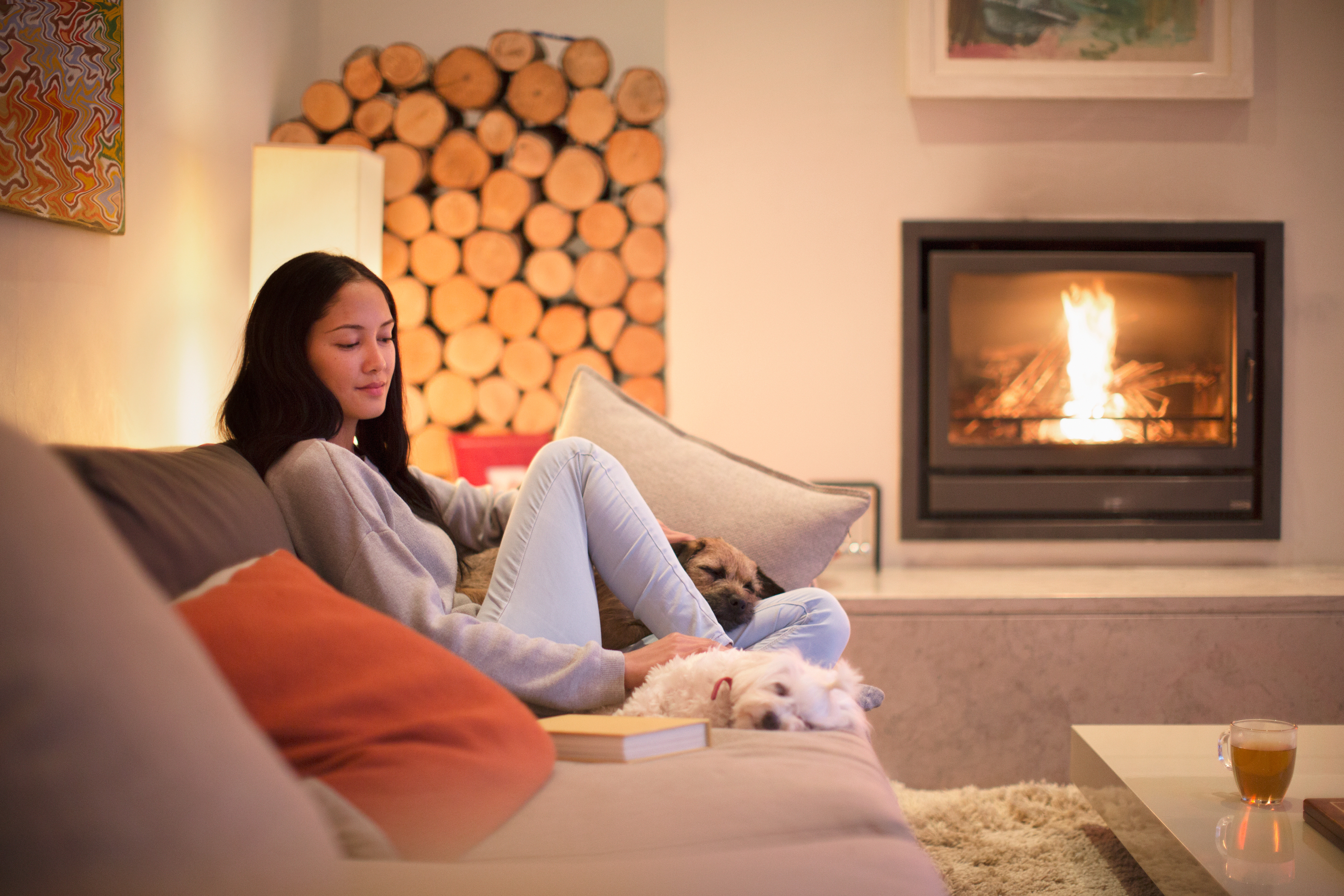 Woman and her dogs relaxing by a wood-burning fireplace