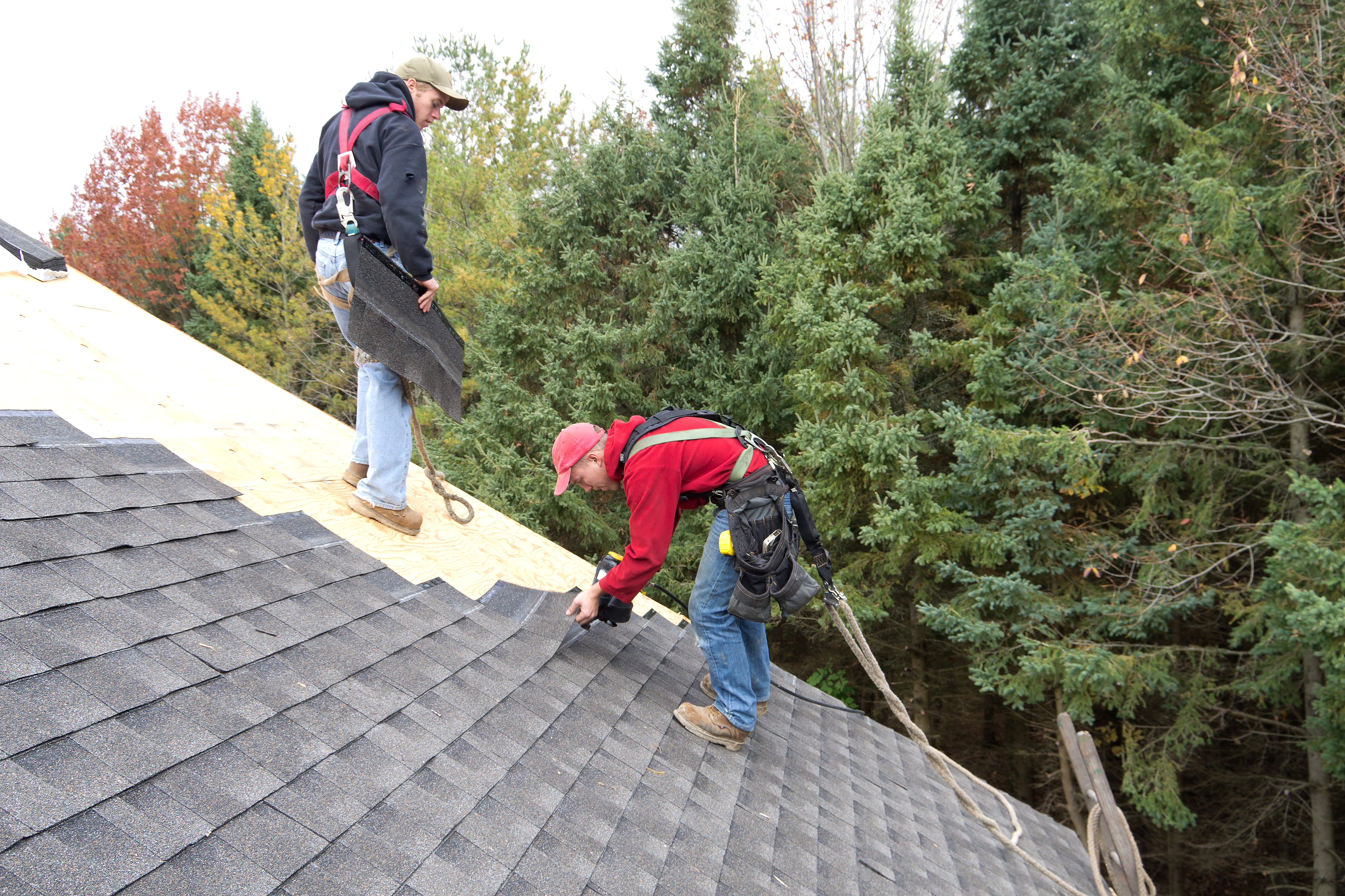 Workers installing new asphalt shingles on the roof
