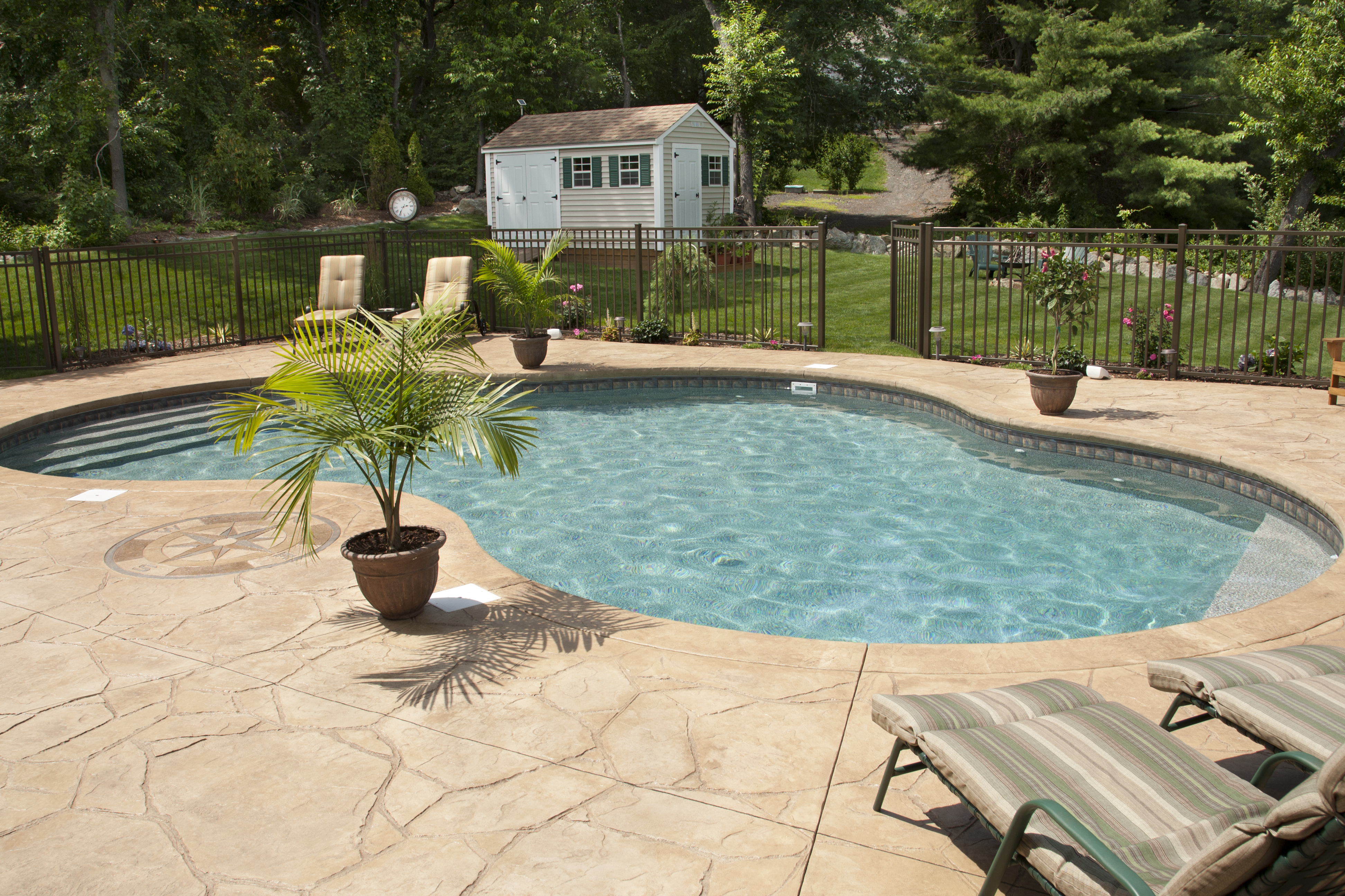 Backyard swimming pool