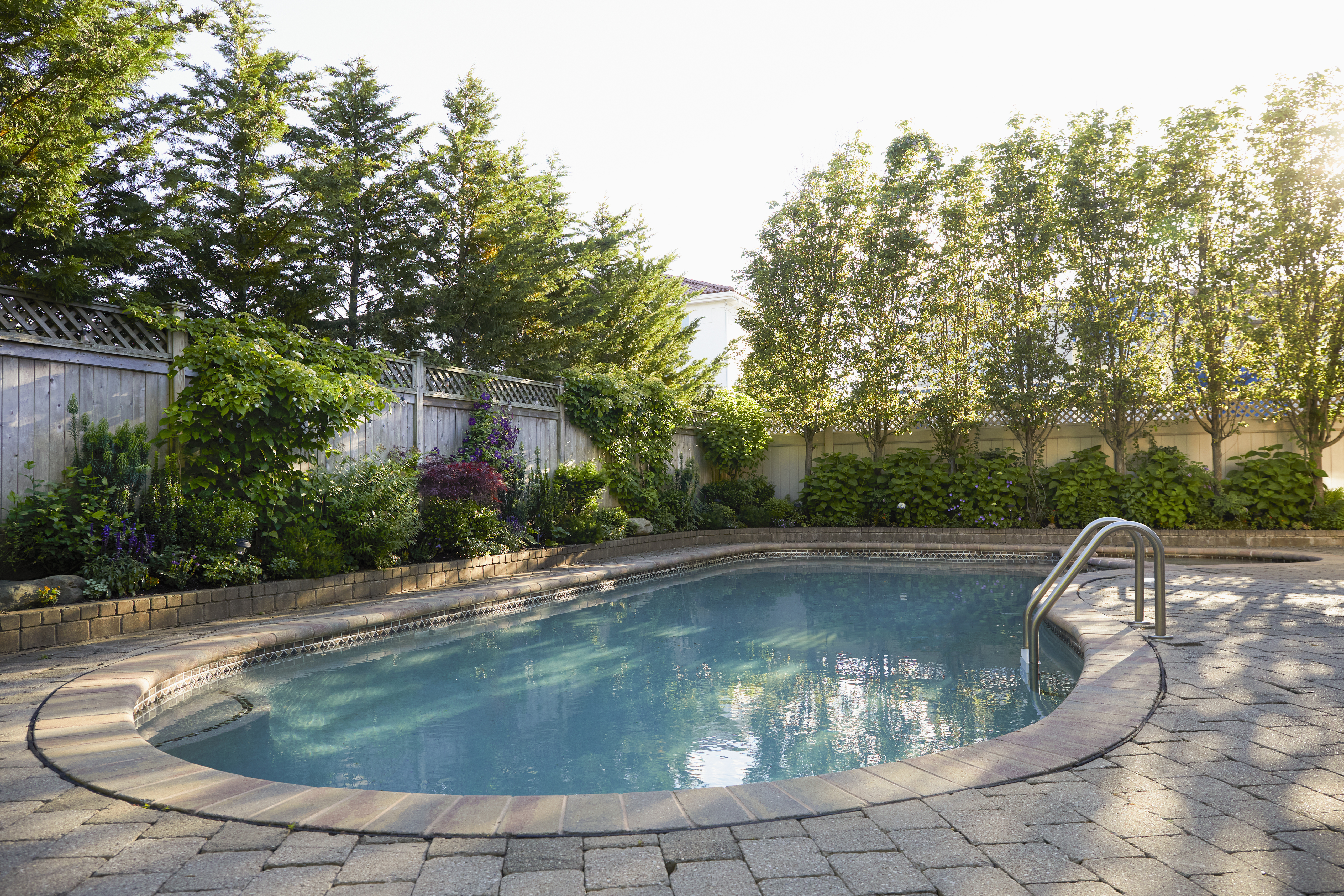 Swimming pool and trees in backyard