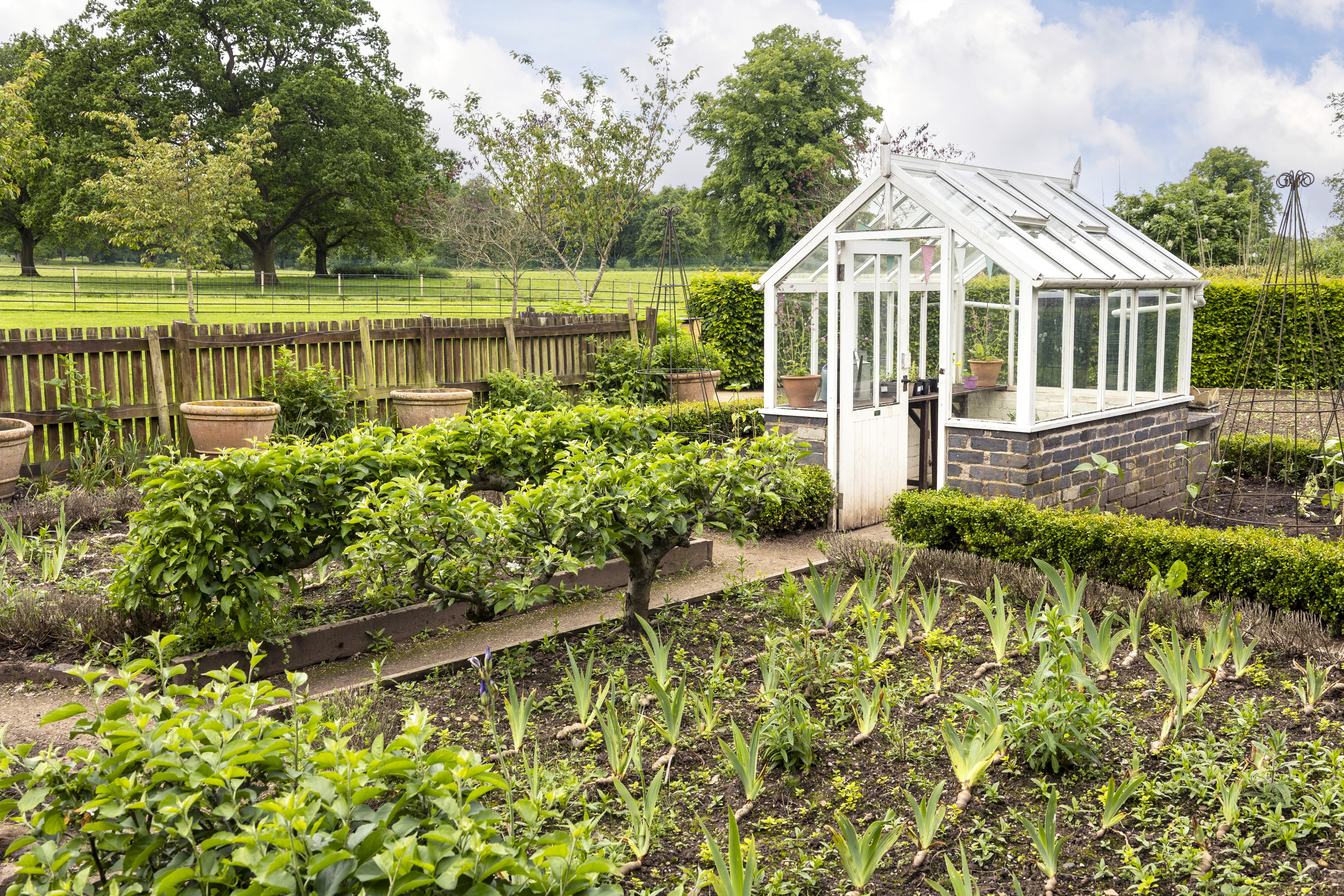 Glass greenhouse in the yard of a rural home 