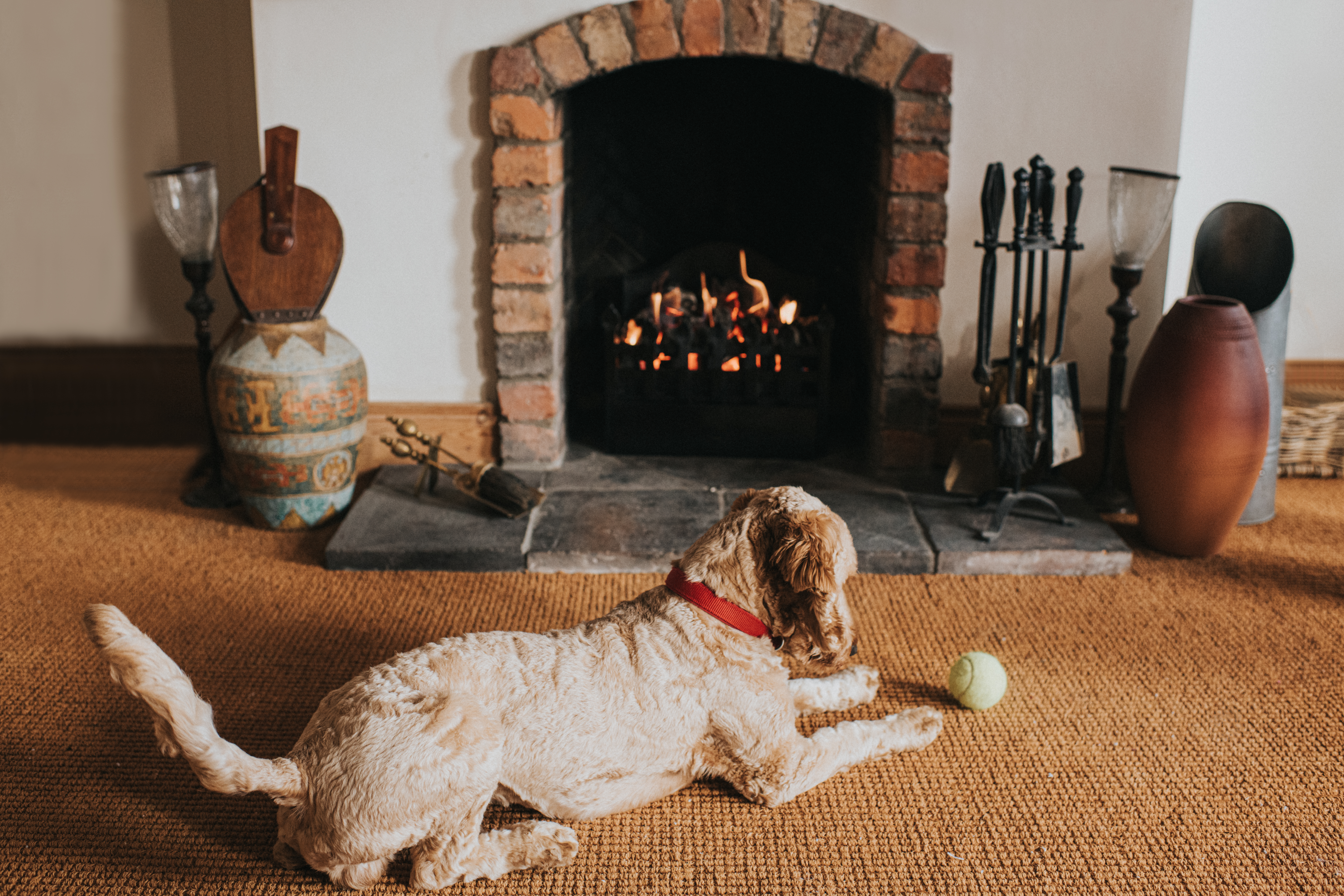 Dog beside an open fireplace