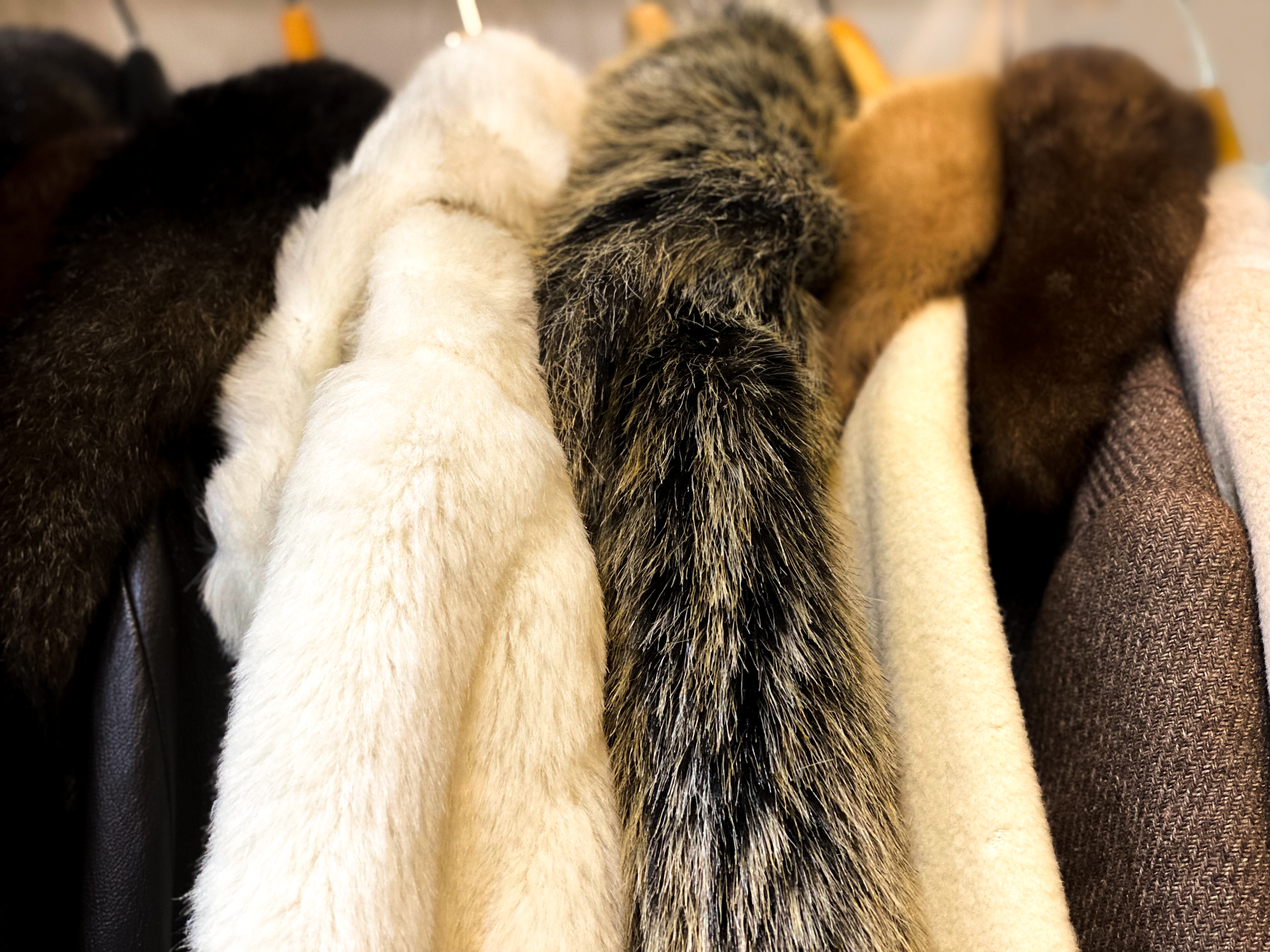 Fur coats hanging on a rack