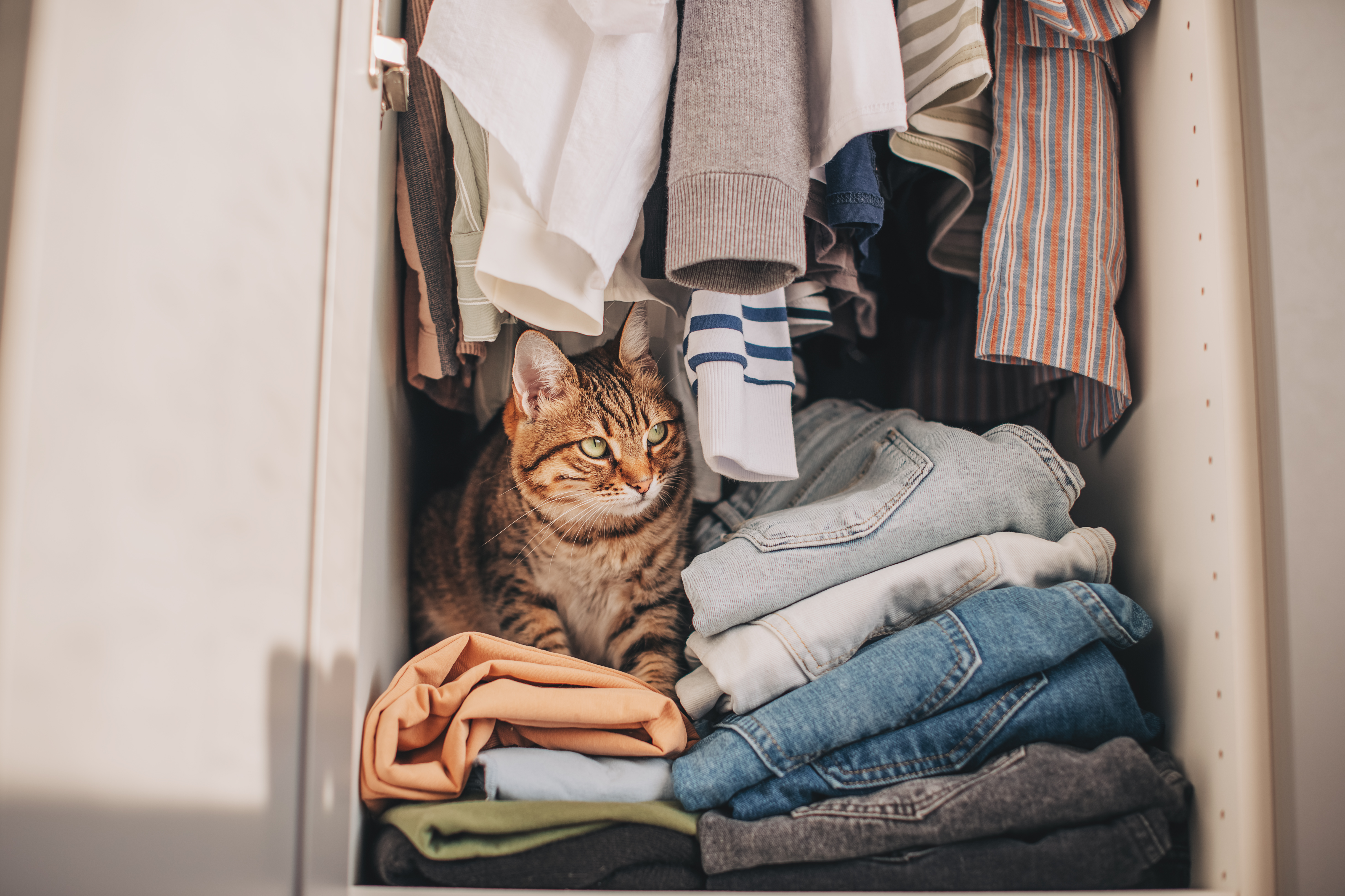 Pile of clothes in closet