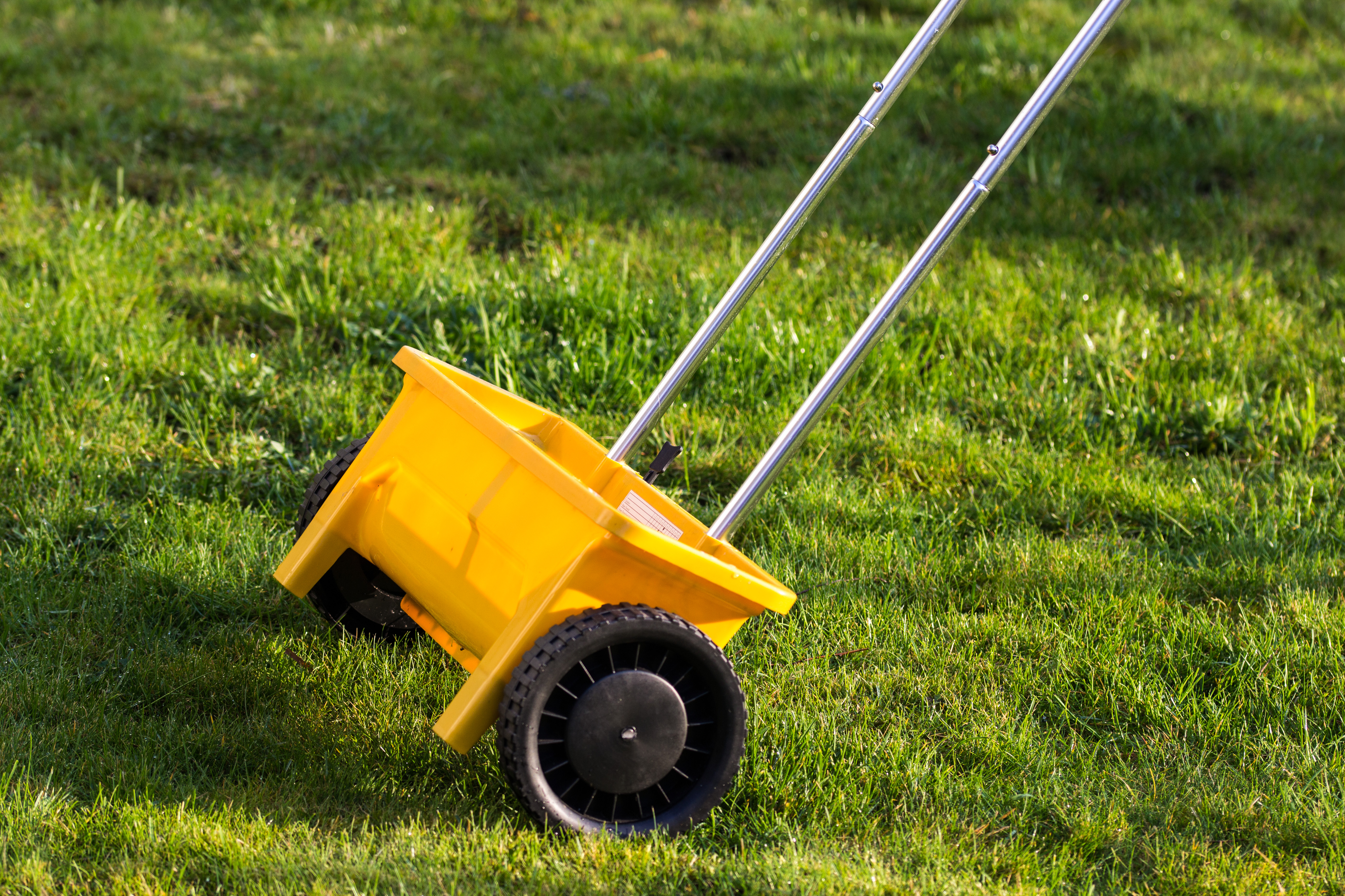 Yellow fertilize spreader at garden