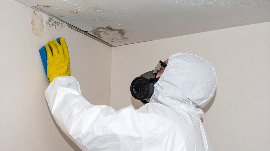 A professional in protective gear cleans mold from a ceiling corner using gloves, a sponge, and a respirator mask.