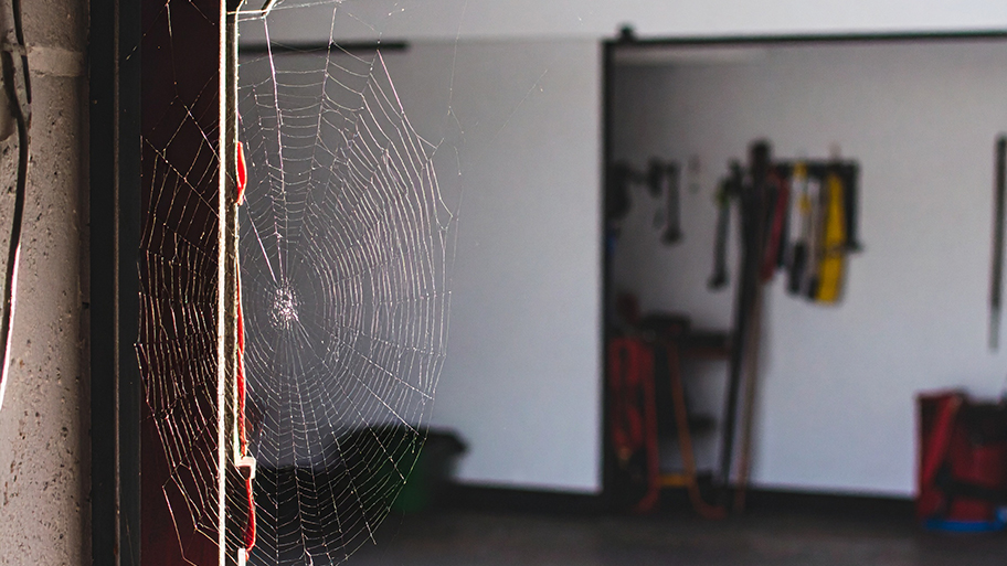 A spider web stretches across the edge of a garage doorway with tools and equipment visible in the background.