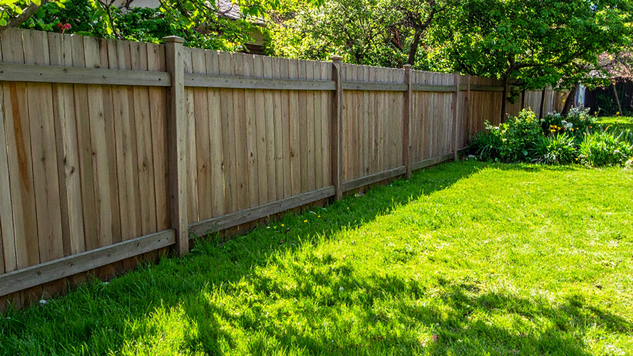 A well-maintained backyard with a bright green lawn and a tall, wooden privacy fence.
