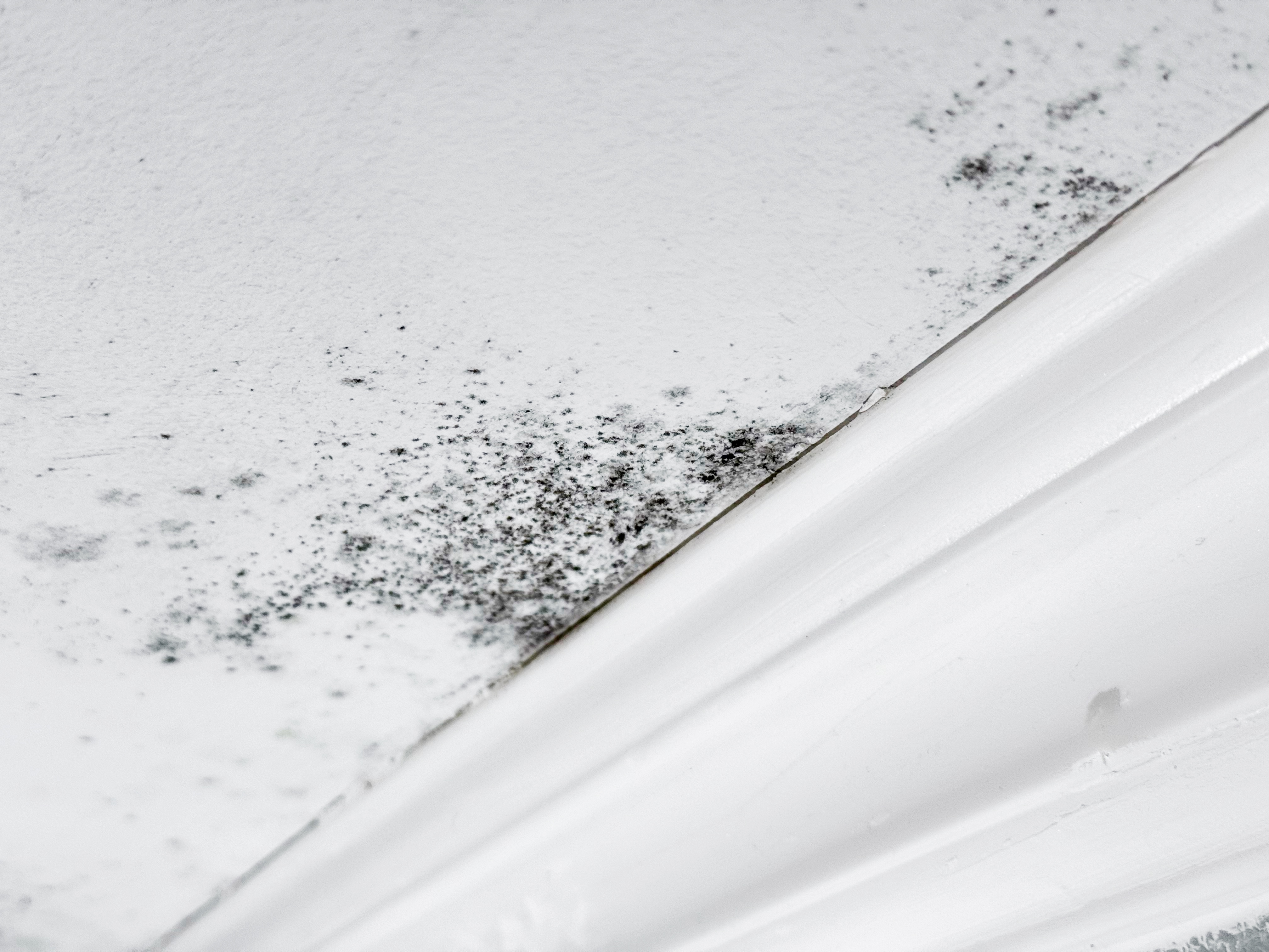 Mold on the ceiling