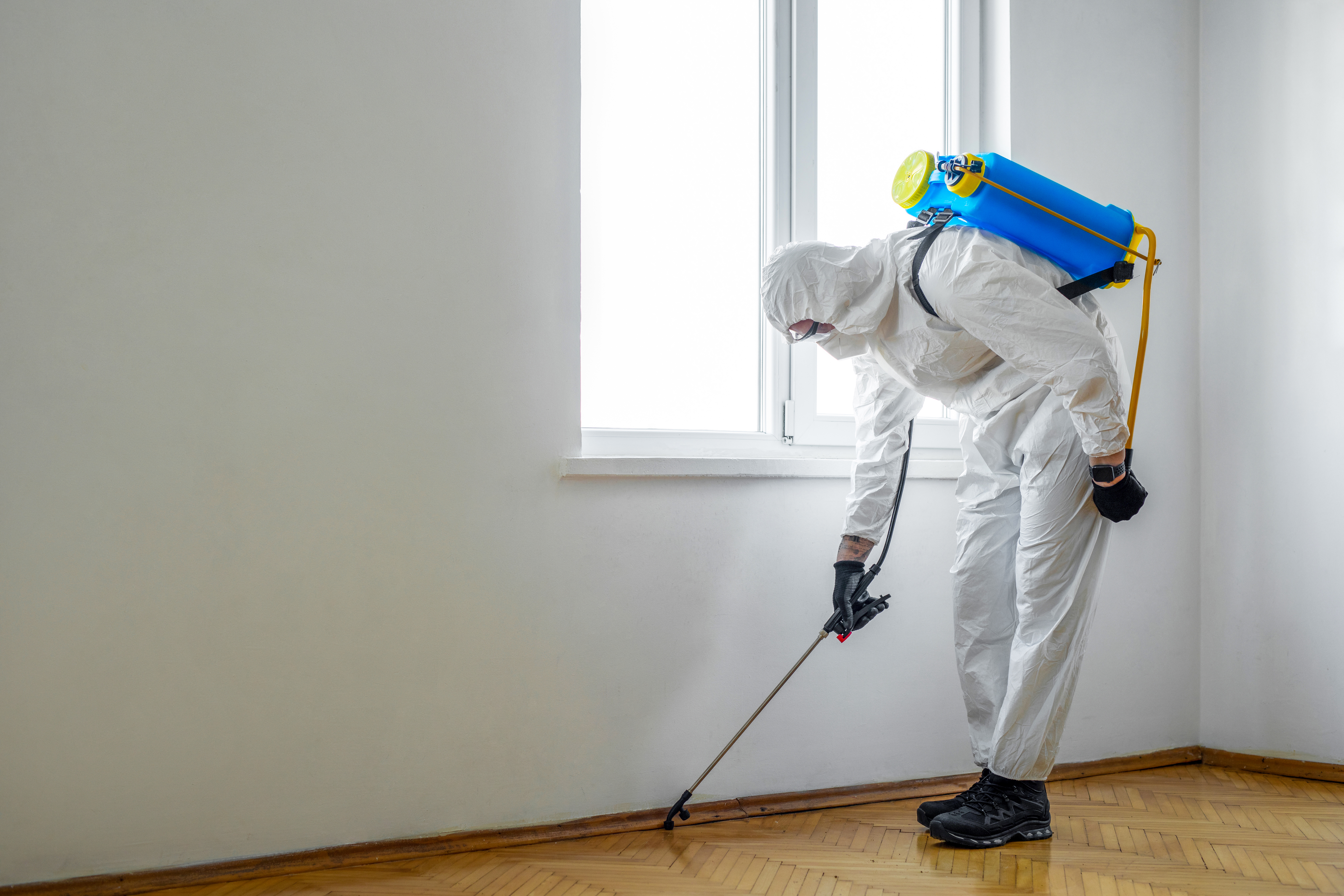 A pest control specialist spraying pesticide
