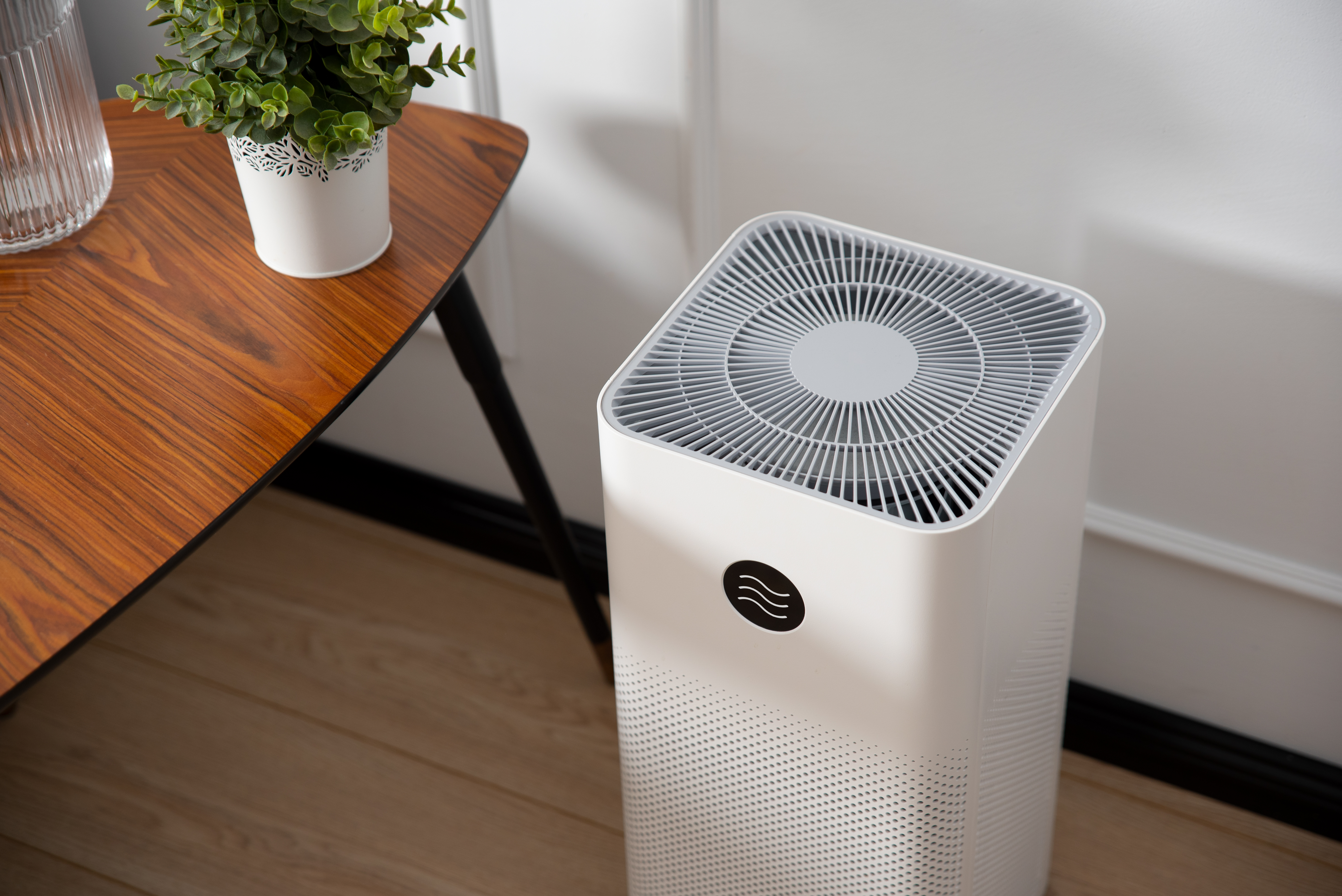  Air purifier in living room