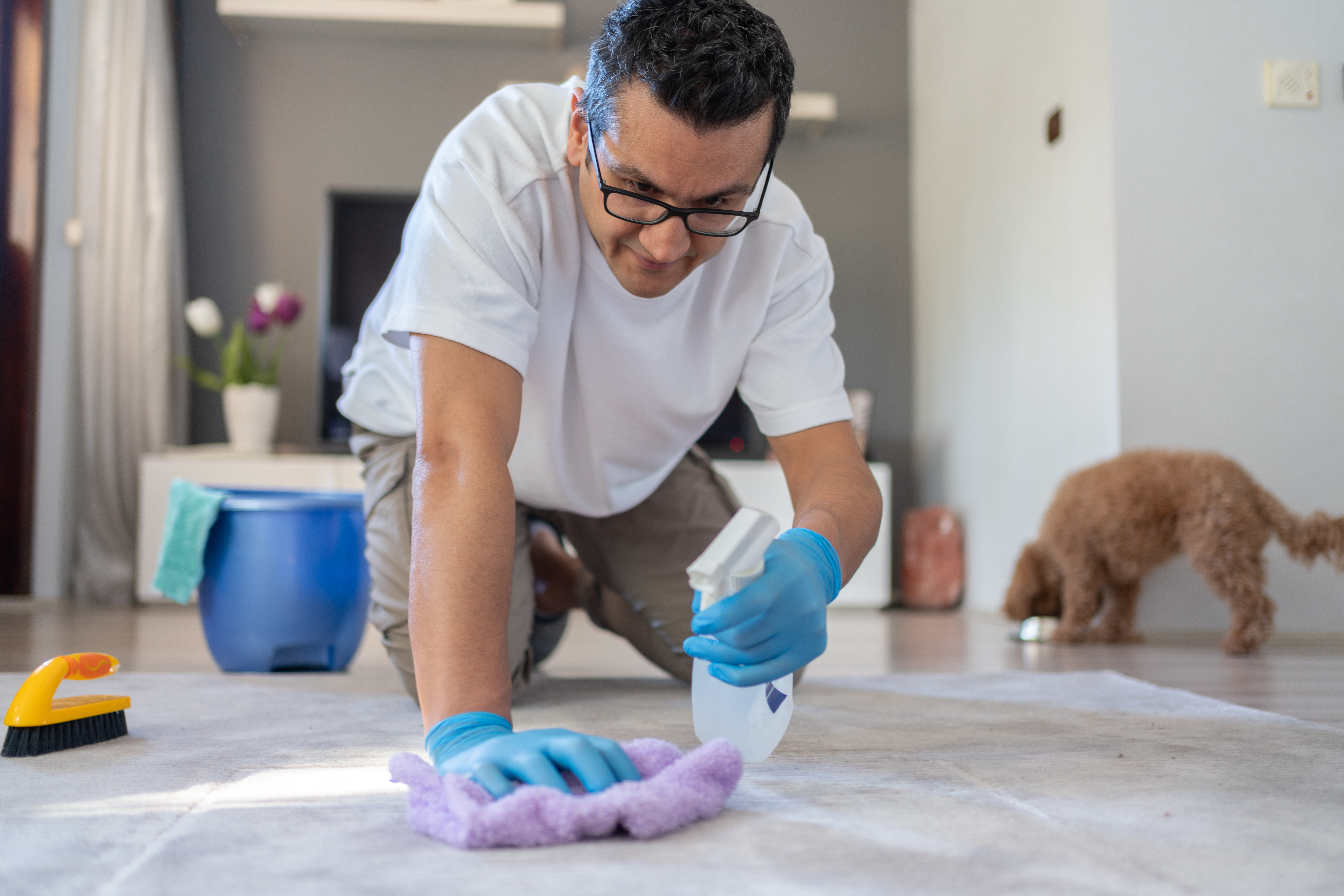 A man spraying a rug with an enzymatic cleaner