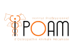 Logo IPOAM