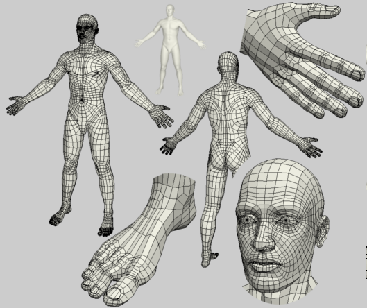 male body 3d model