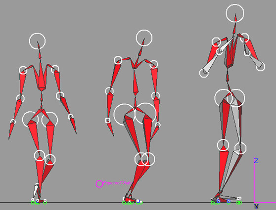 motion capture files