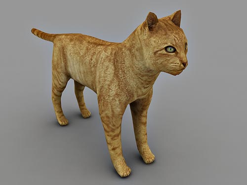 cat free 3d model