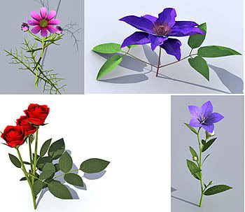 3d plant collection