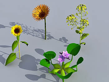 3D Plant Collection 02