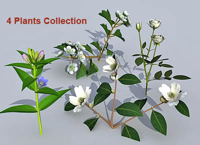 3D Plant collection 03