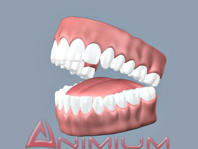 teeth and tongue, 3d anatomy models