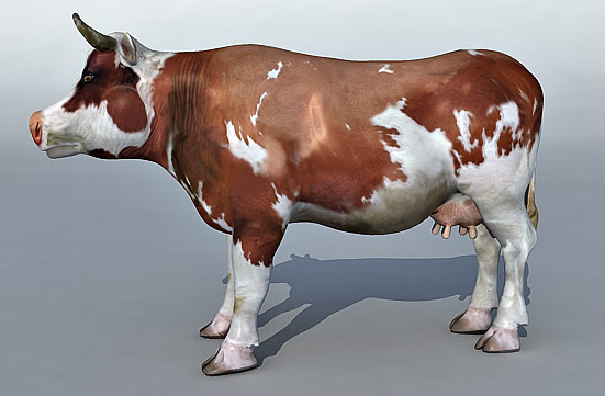 Cow 3d model