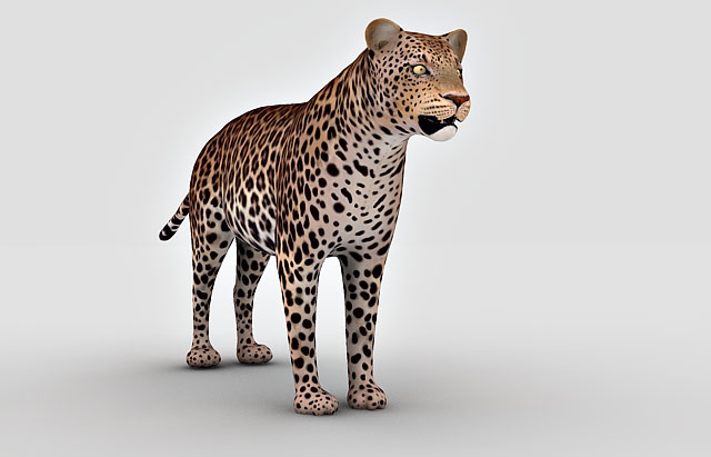 leopard 3d model