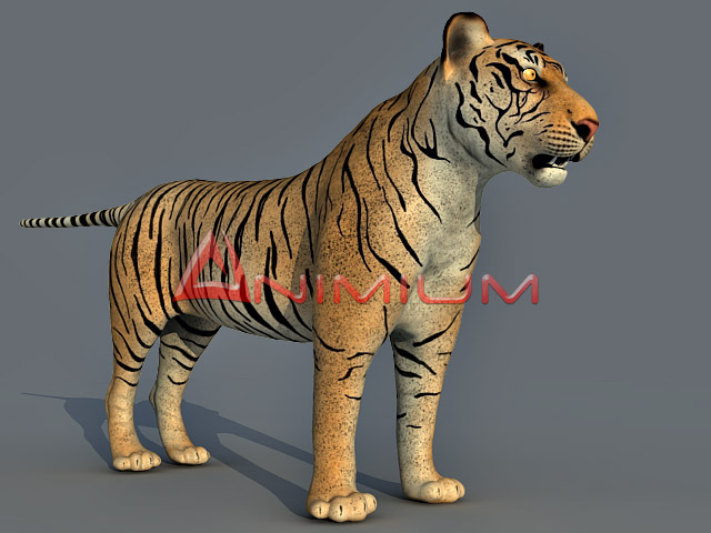 tiger 3d model render