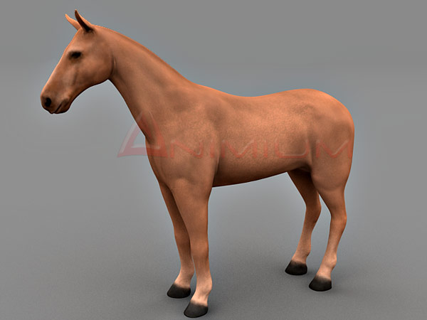 Horse 3d model