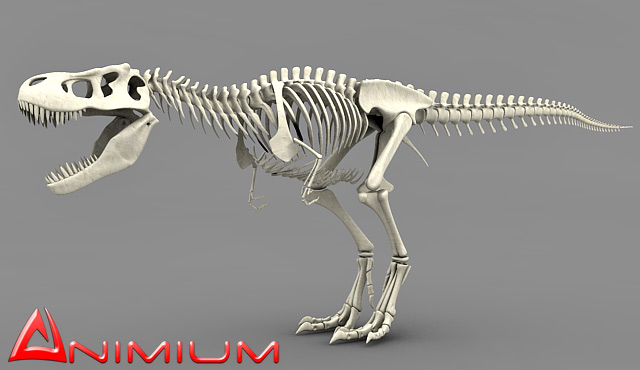 Tyrannosaurus Rex skeleton