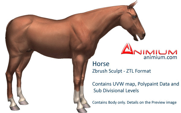 Horse 3d model