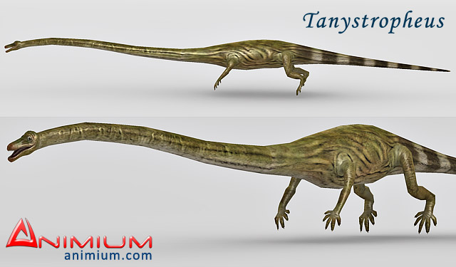 Tanystropheus 3d model